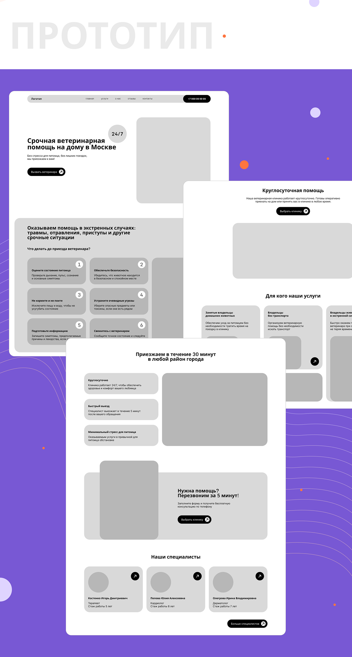 Landing | UX | UI| Ветеринар на дом — Изображение №3 — Интерфейсы на Dprofile