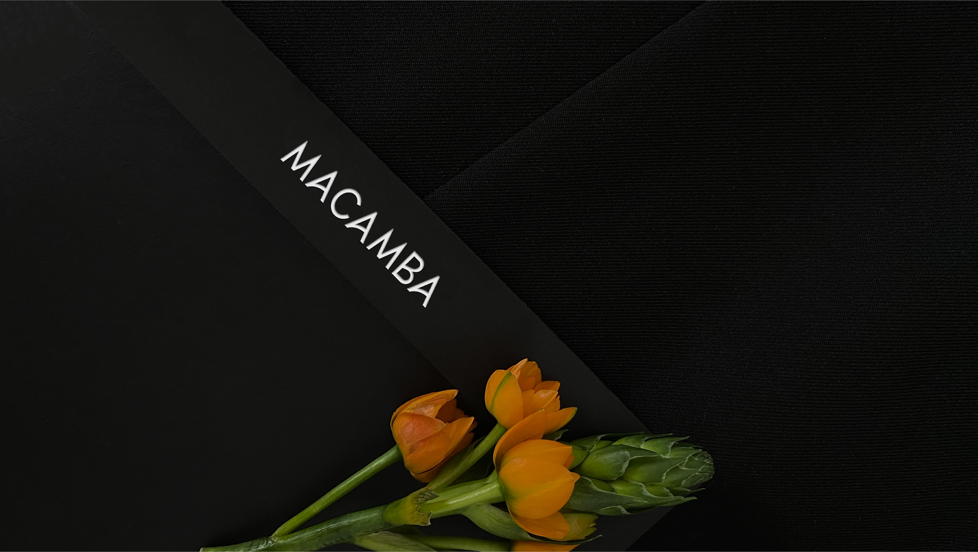 ФИРМЕННЫЙ СТИЛЬ | BRAND IDENTITY | CLOTHES — Изображение №17 — Брендинг на Dprofile