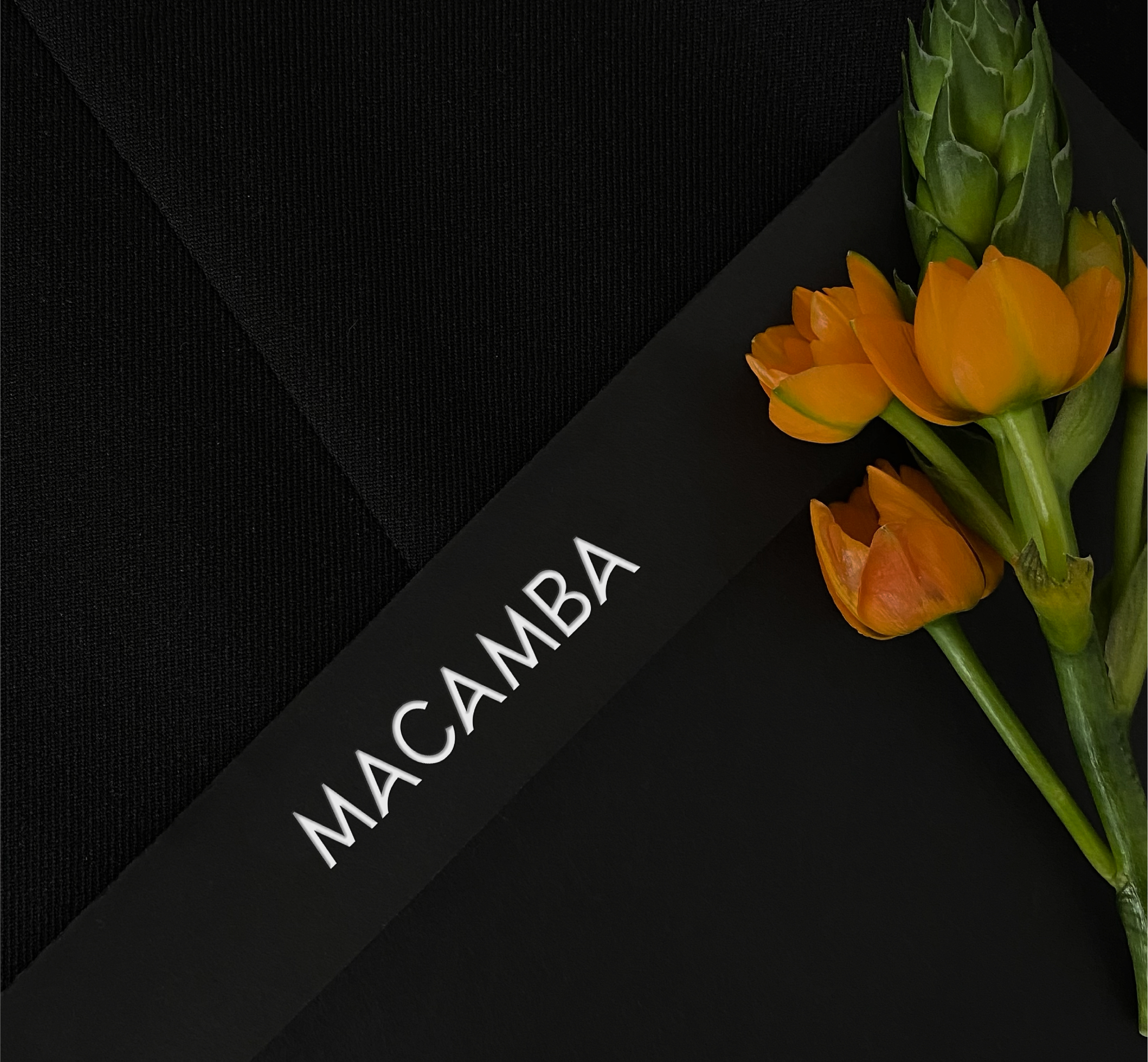ФИРМЕННЫЙ СТИЛЬ | BRAND IDENTITY | CLOTHES — Изображение №1 — Брендинг на Dprofile
