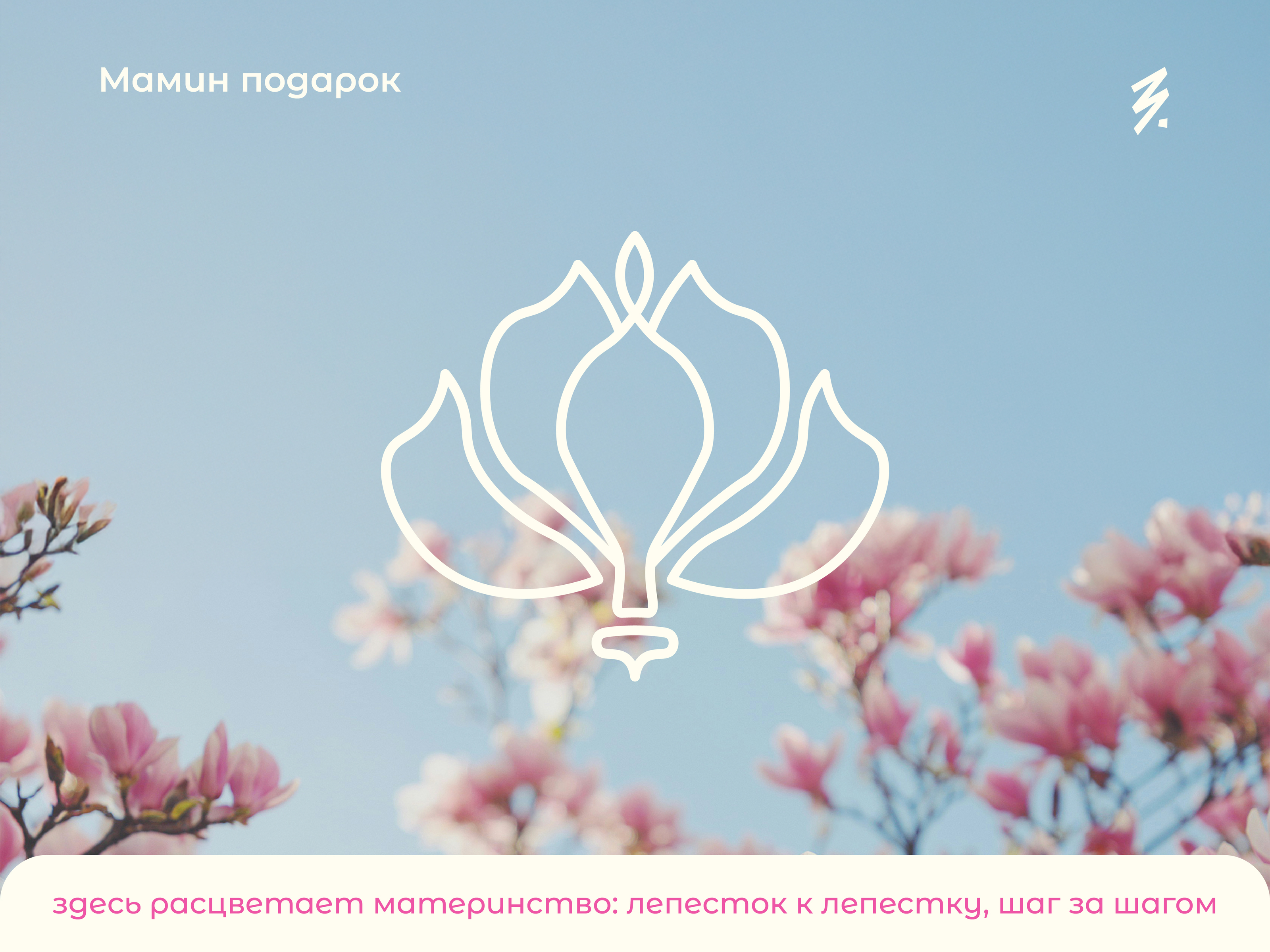 Медиа Проект "Мамин подарок" — Изображение №1 — Брендинг, Графика на Dprofile