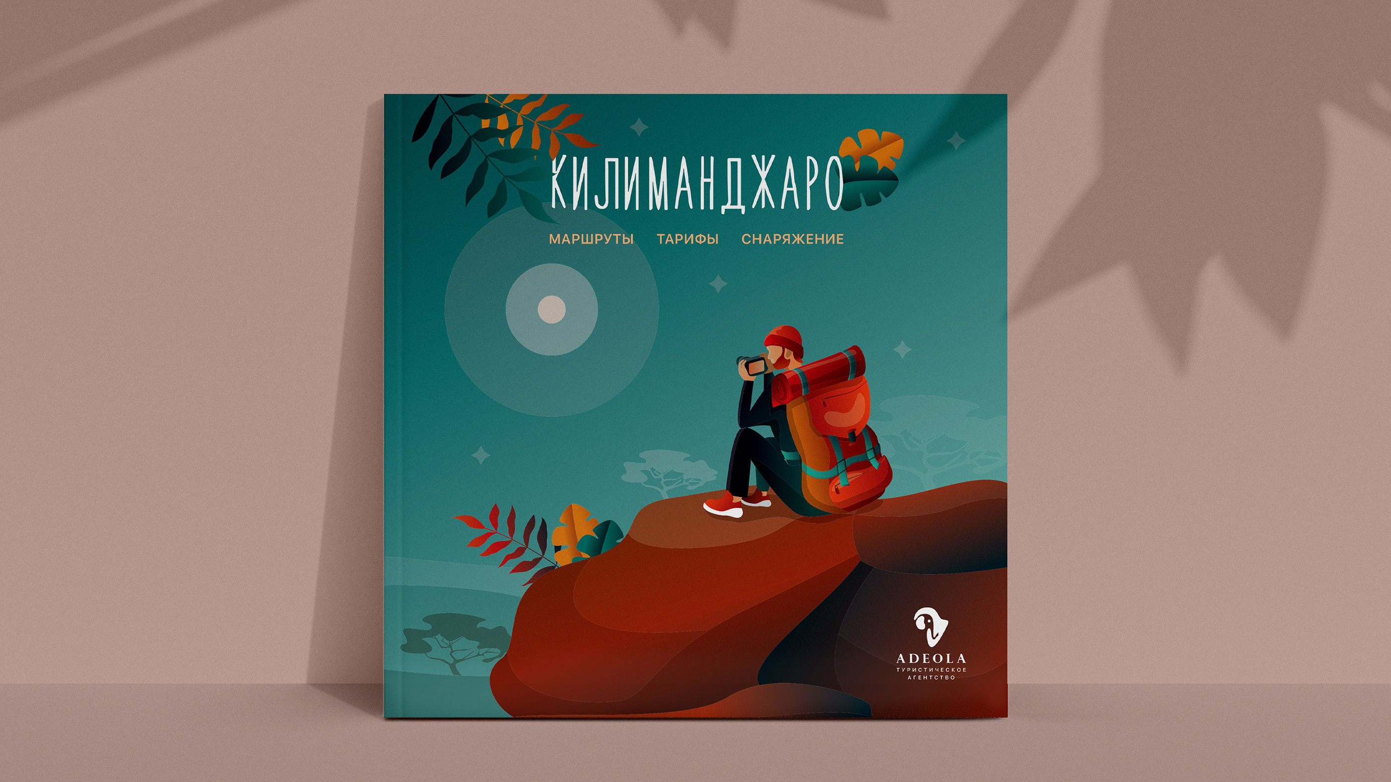 Брошюра о Килиманджаро — Изображение №1 — Иллюстрация, Графика на Dprofile