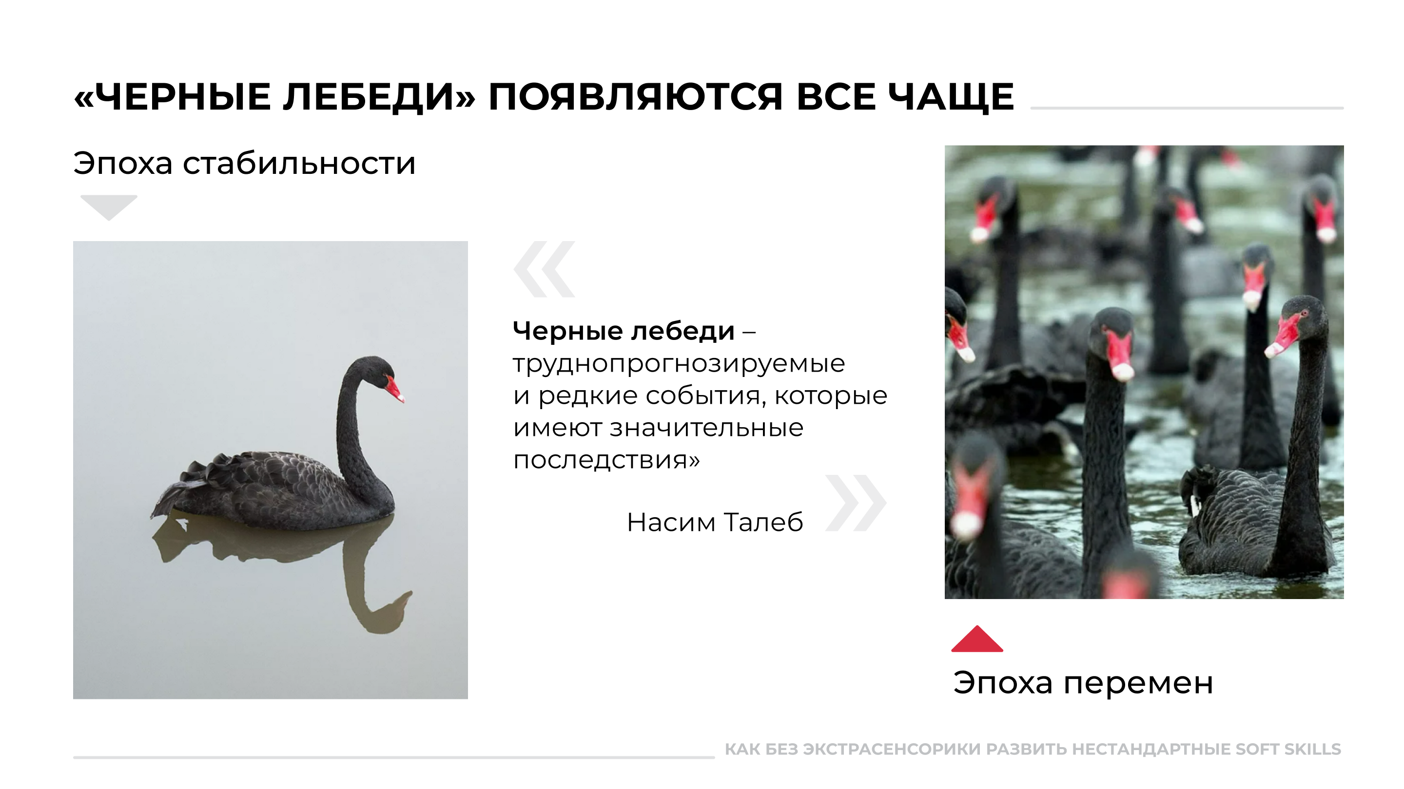 Презентации для конференции для карьерных специалистов — Изображение №3 — Интерфейсы, Маркетинг на Dprofile