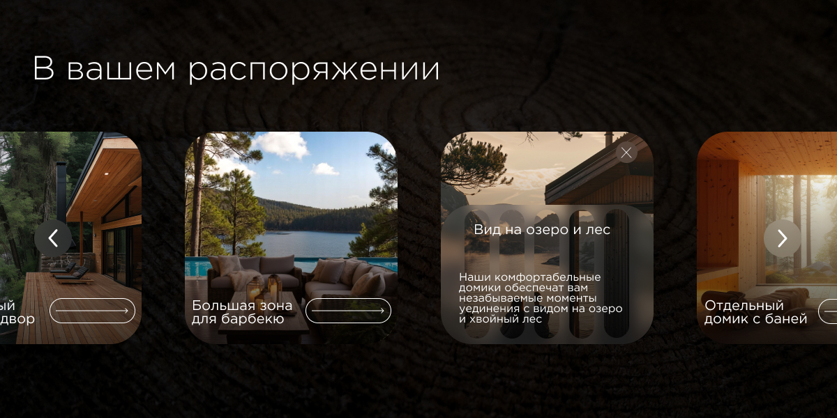 Мини-лендинг эко-отеля "Домики в лесу" — Изображение №2 — Интерфейсы на Dprofile