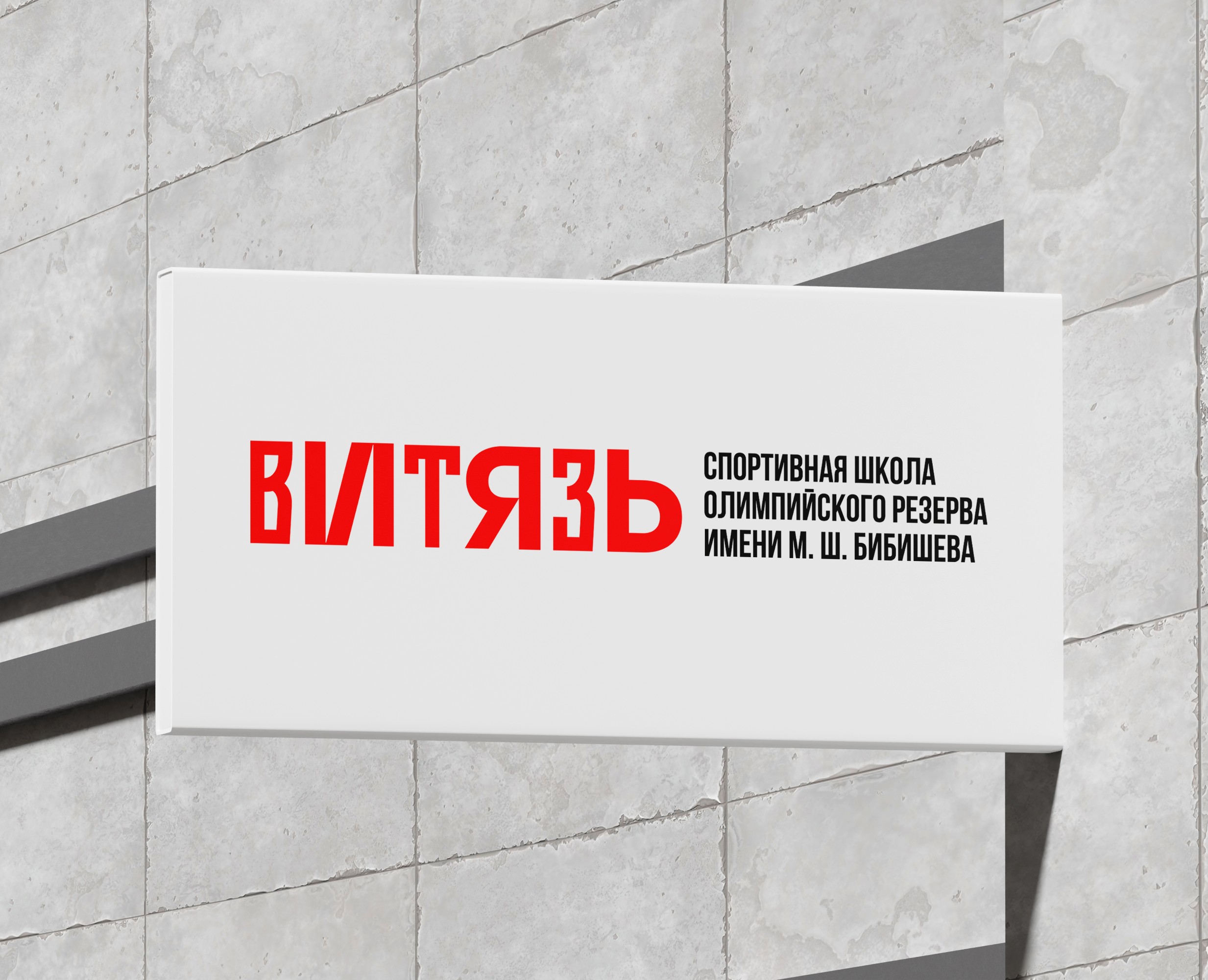 Фирменный стиль и навигация спортивной школы — Брендинг на Dprofile