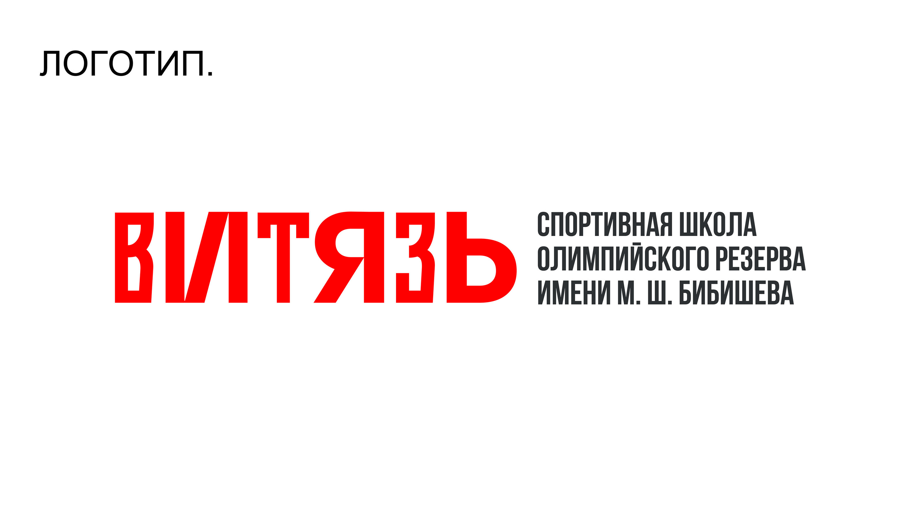 Фирменный стиль и навигация спортивной школы — Изображение №3 — Брендинг на Dprofile