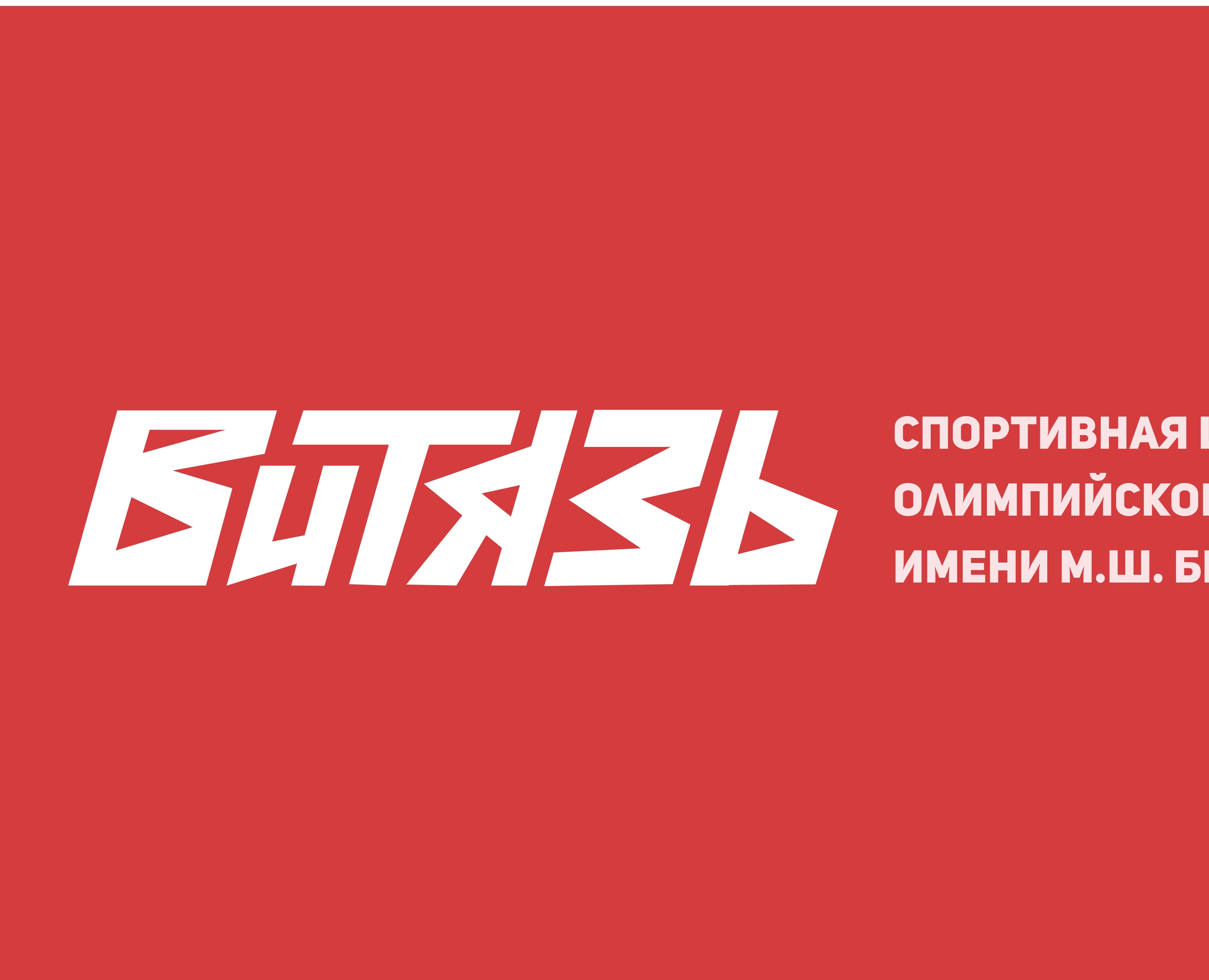 Айдентика и навигация для спортивной школы Витязь — Брендинг, Графика на Dprofile