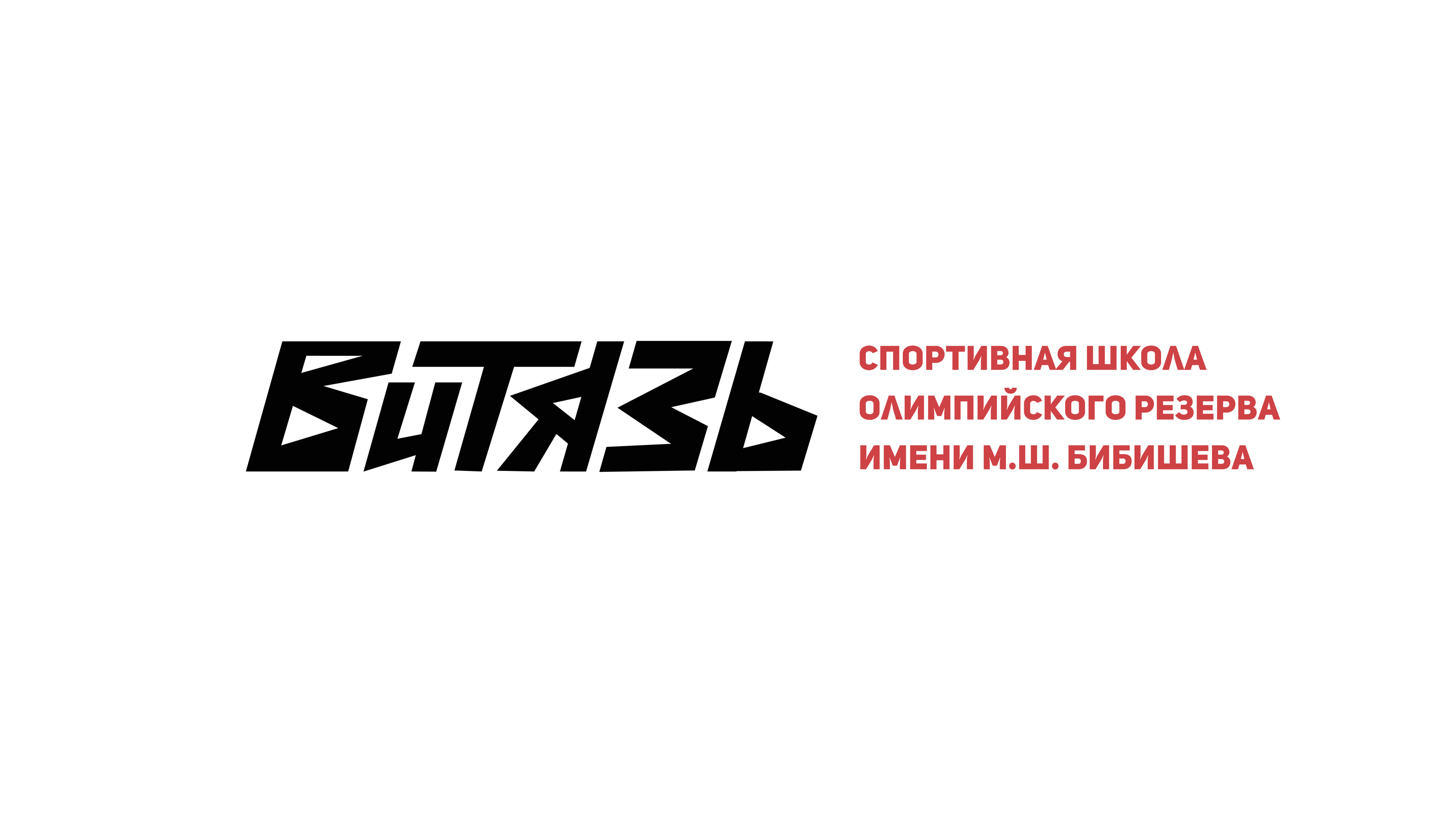 Айдентика и навигация для спортивной школы Витязь — Изображение №3 — Брендинг, Графика на Dprofile