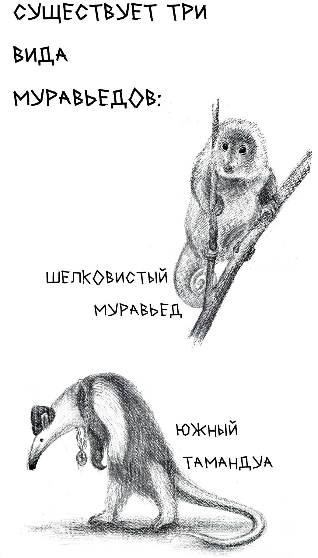 Кто это? — Изображение №3 — Иллюстрация, Графика на Dprofile