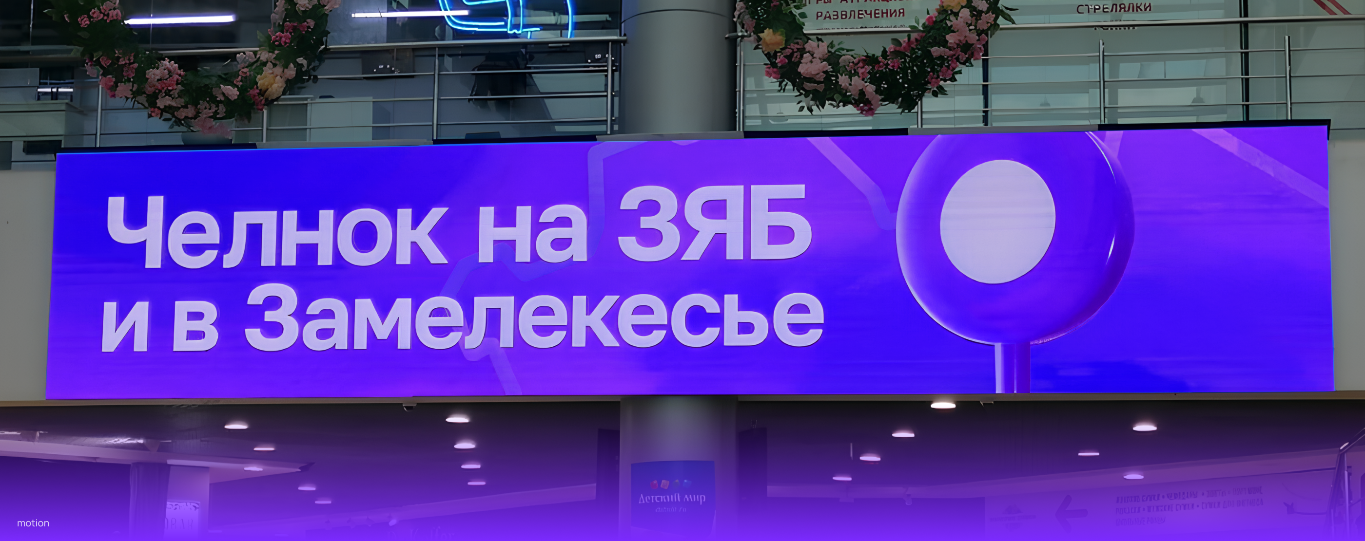 Челнок — сервис совместных поездок — Изображение №15 — Брендинг, Маркетинг на Dprofile