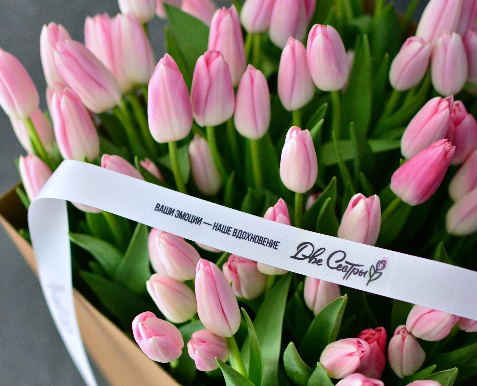 Две Сестры — Брендинг на Dprofile