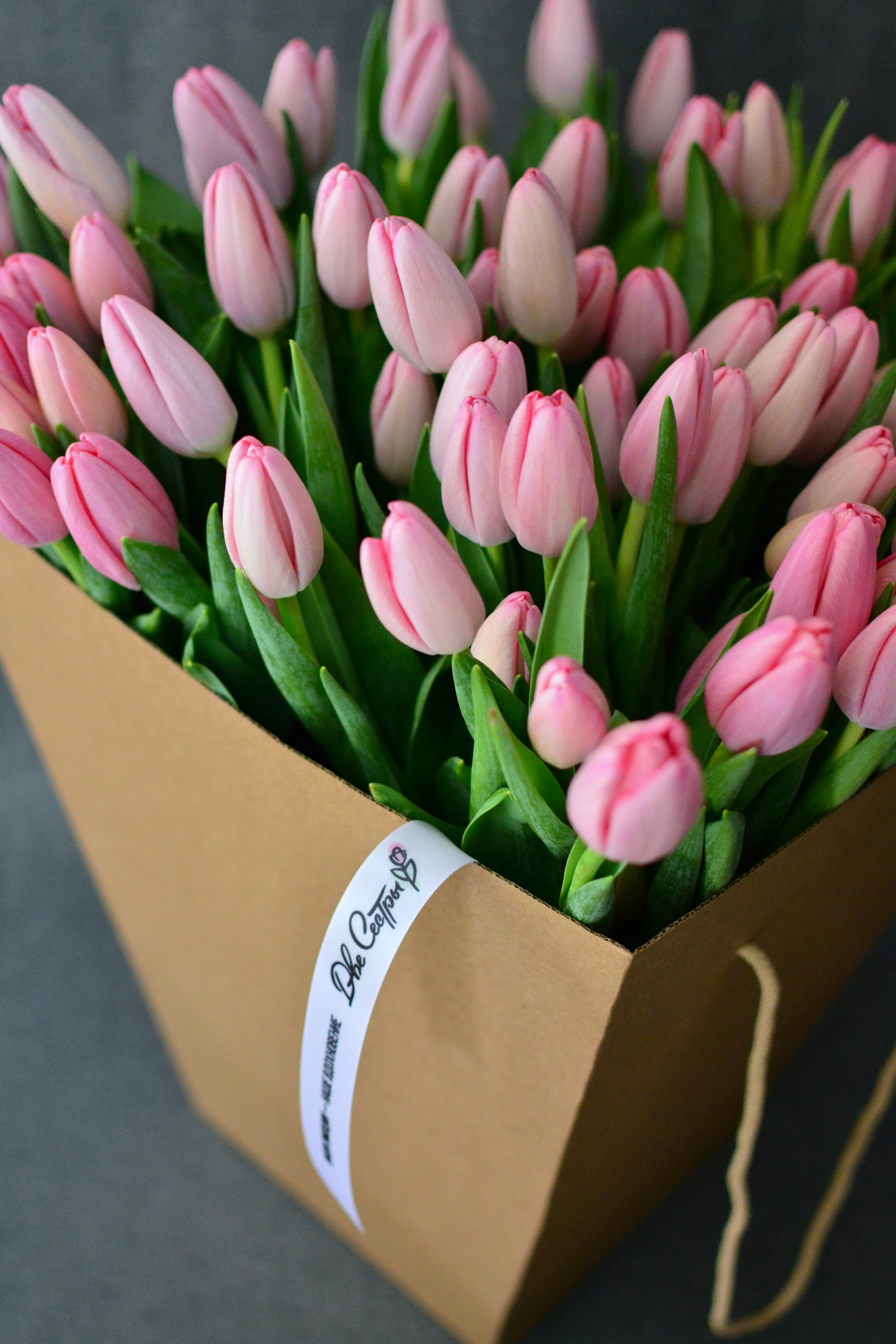 Две Сестры — Изображение №7 — Брендинг на Dprofile