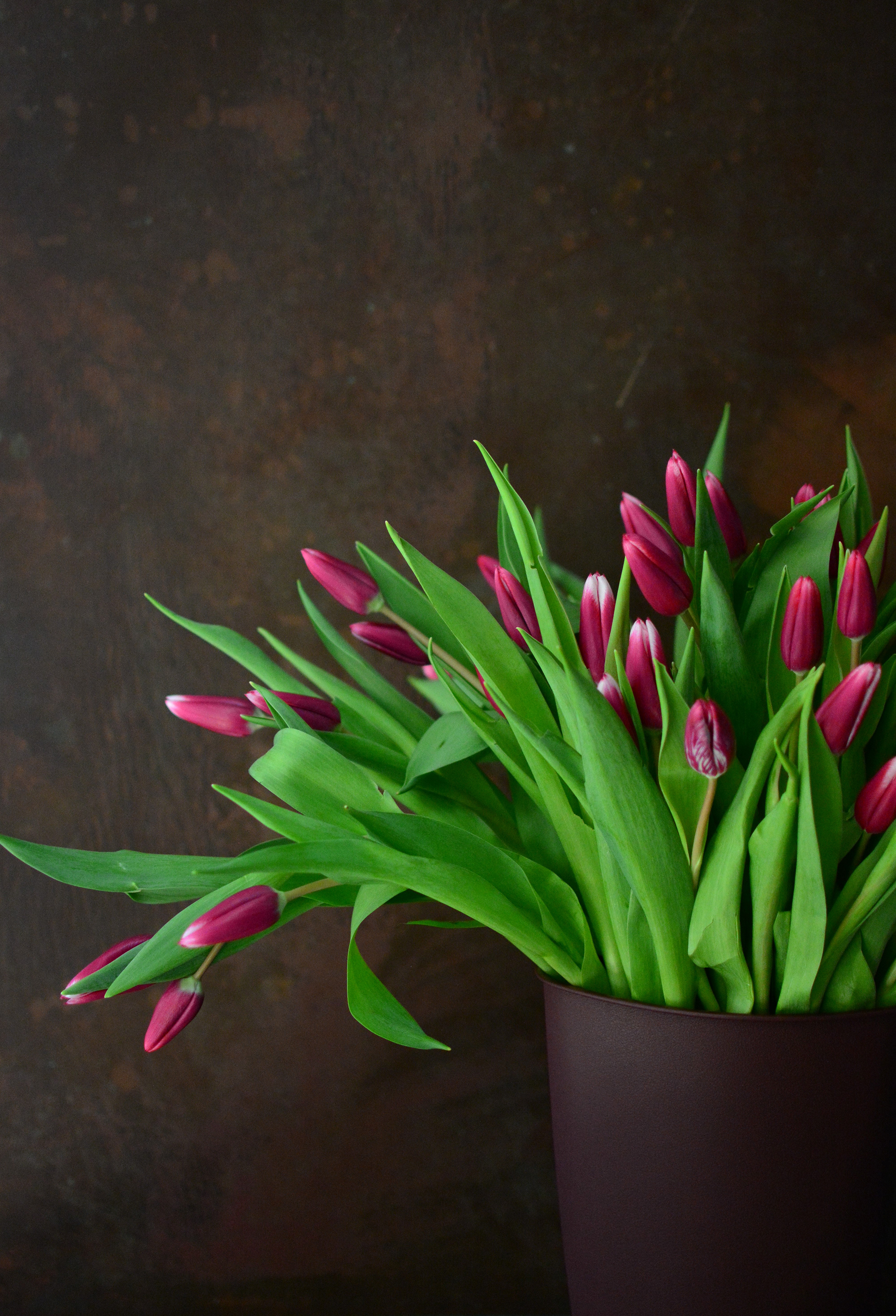 Две Сестры — Изображение №11 — Брендинг на Dprofile