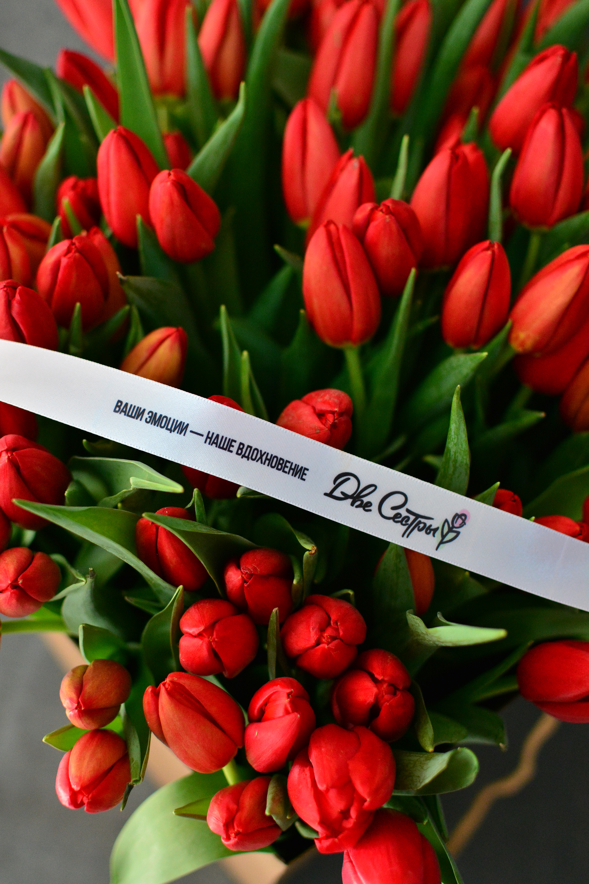 Две Сестры — Изображение №8 — Брендинг на Dprofile