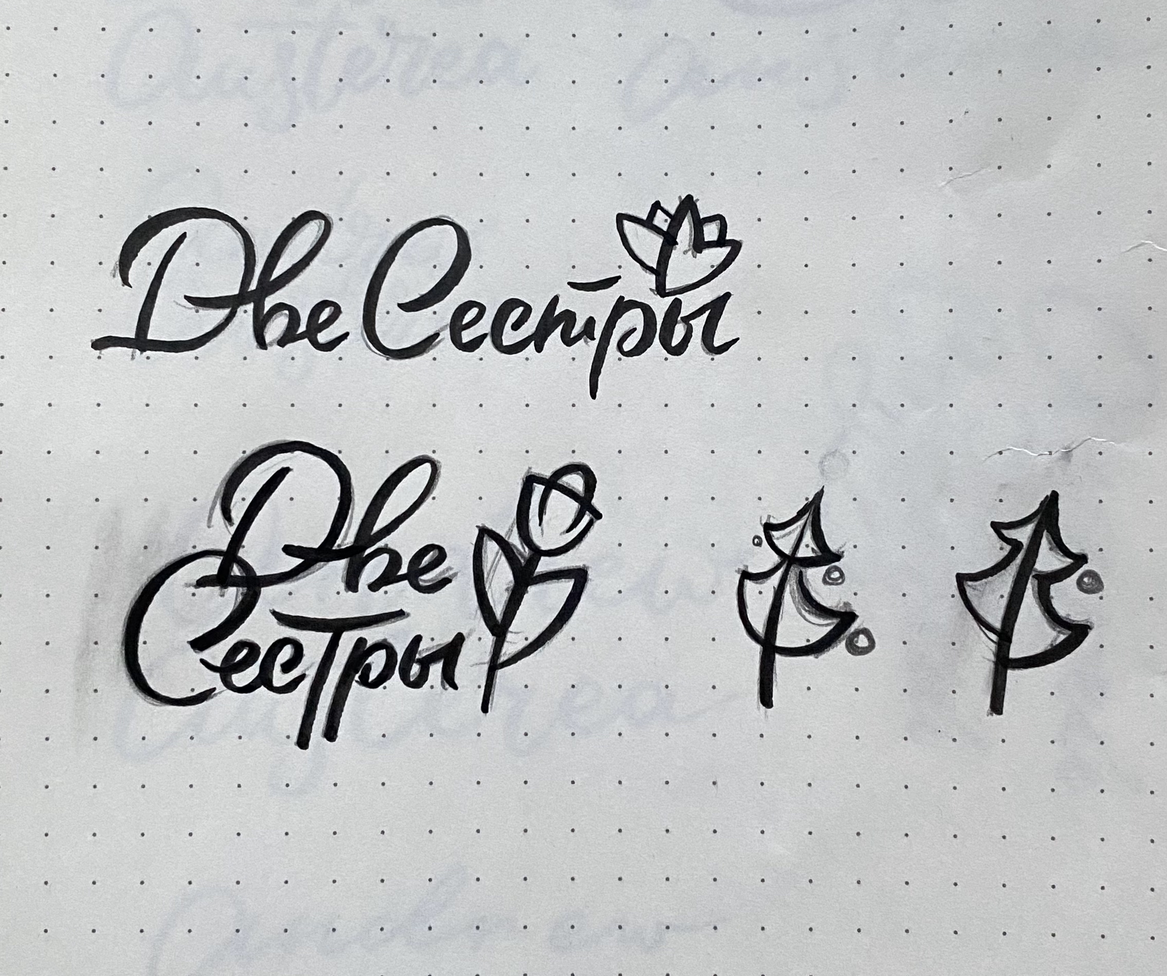 Две Сестры — Изображение №3 — Брендинг на Dprofile