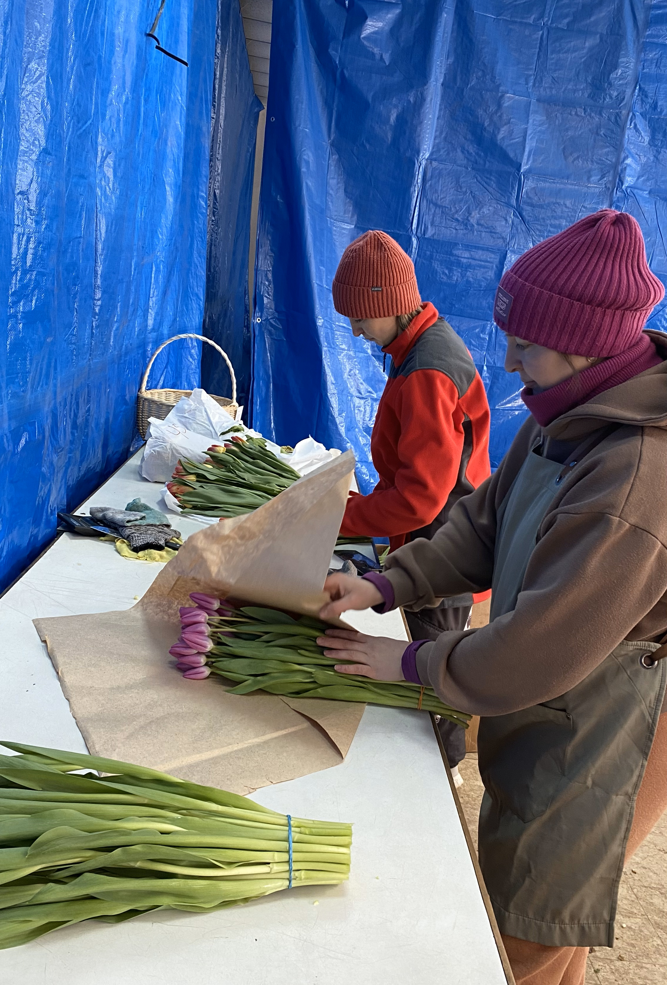 Две Сестры — Изображение №24 — Брендинг на Dprofile