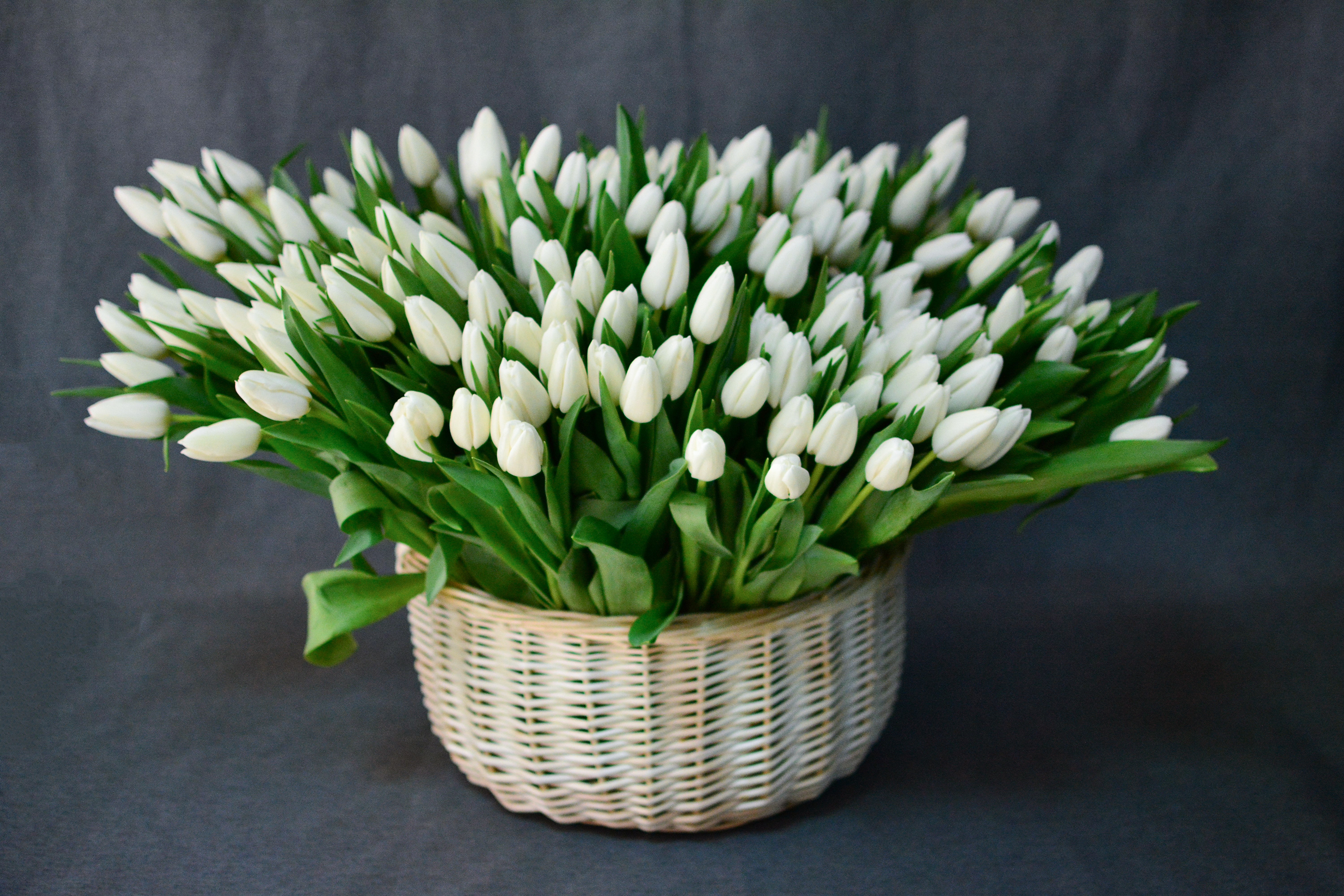 Две Сестры — Изображение №10 — Брендинг на Dprofile