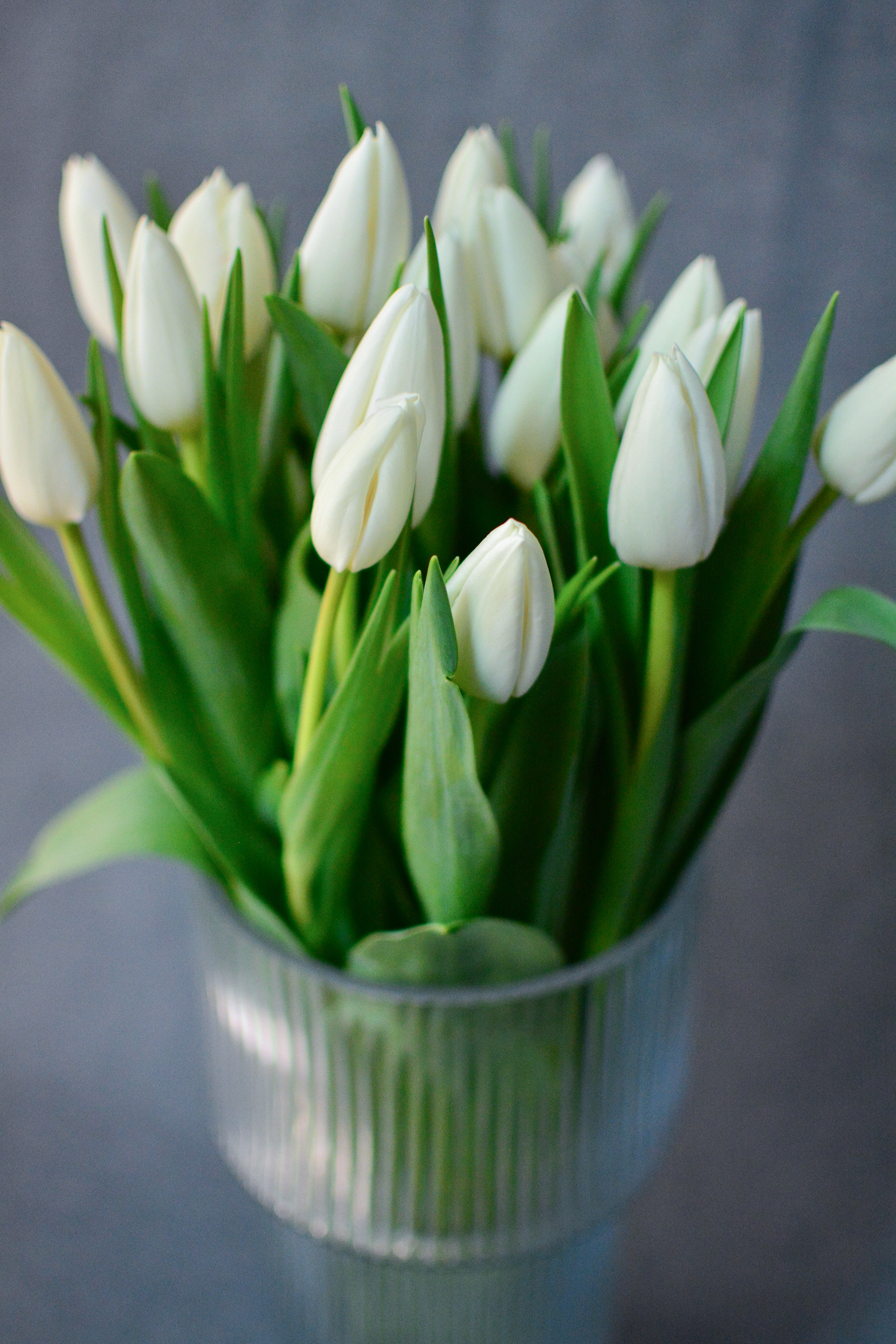 Две Сестры — Изображение №12 — Брендинг на Dprofile