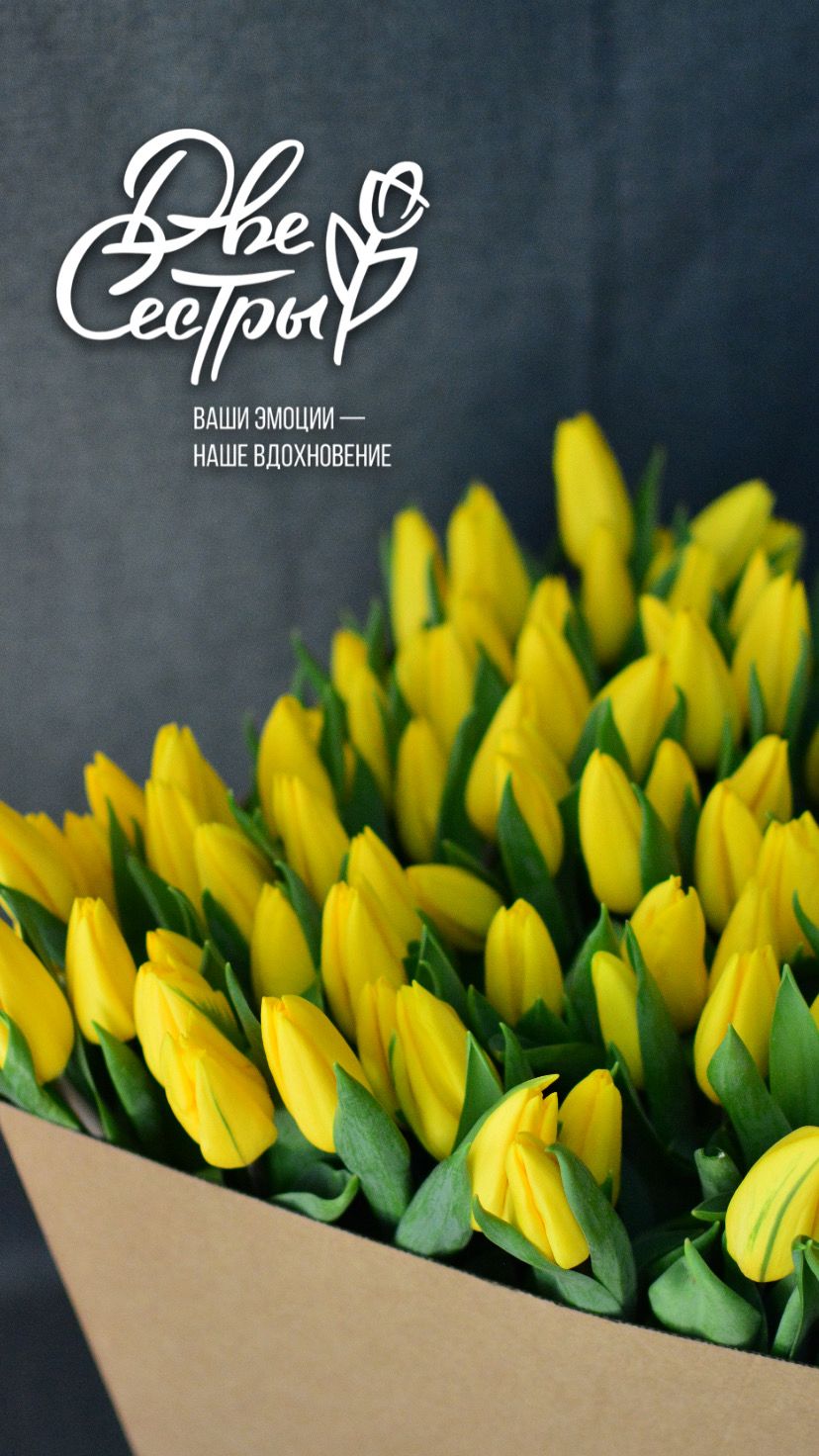 Две Сестры — Изображение №15 — Брендинг на Dprofile