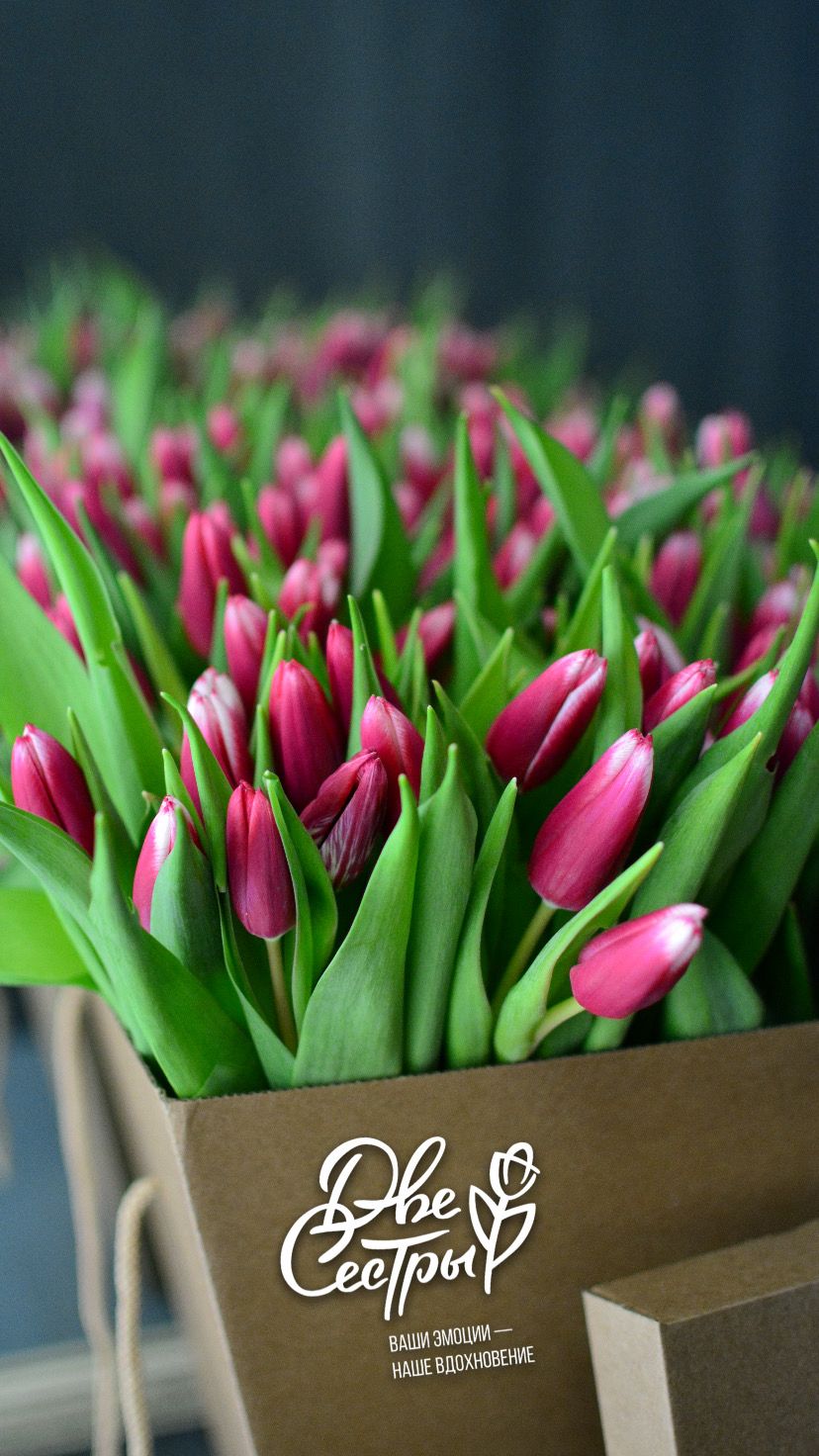 Две Сестры — Изображение №16 — Брендинг на Dprofile