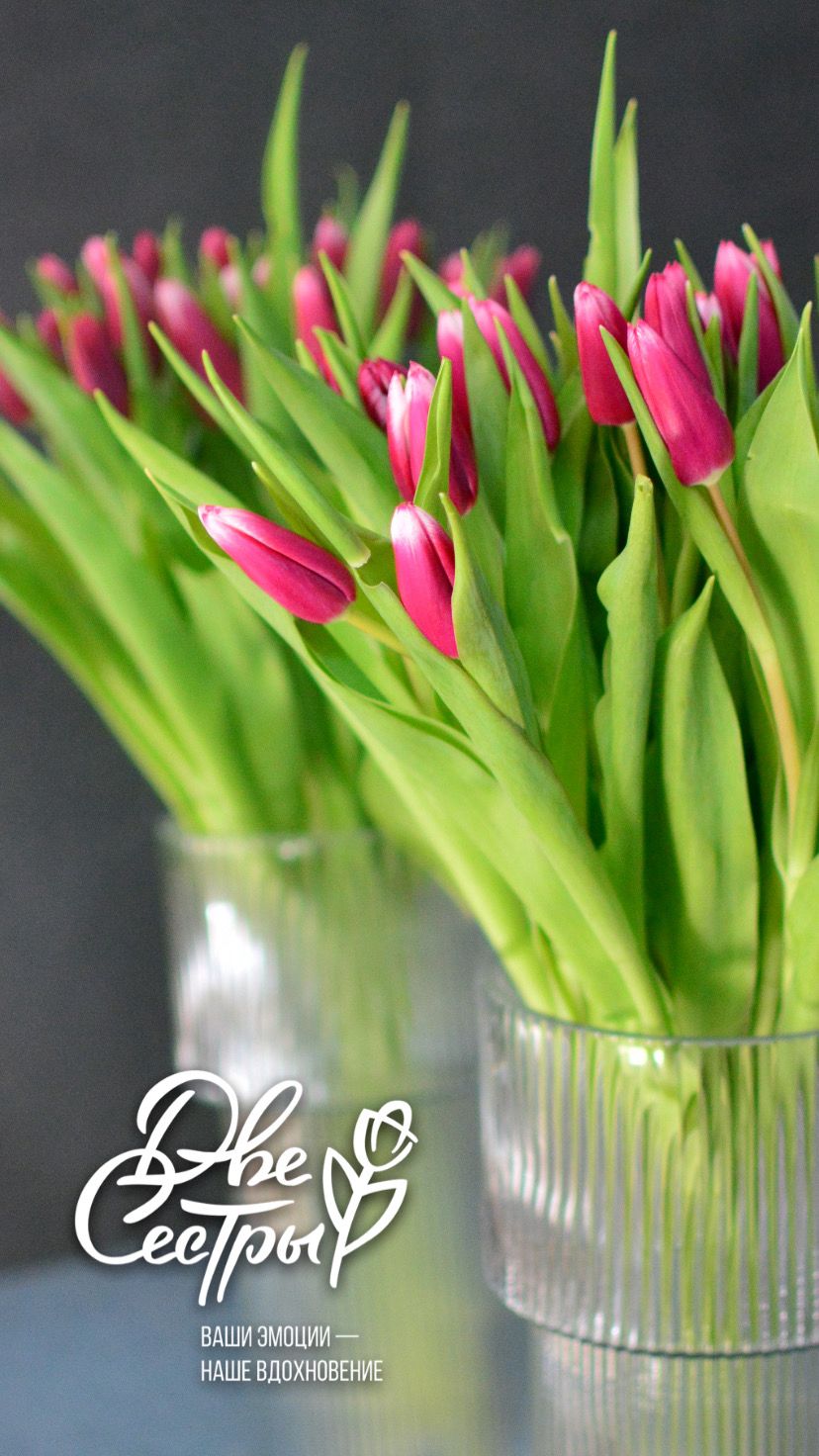 Две Сестры — Изображение №13 — Брендинг на Dprofile