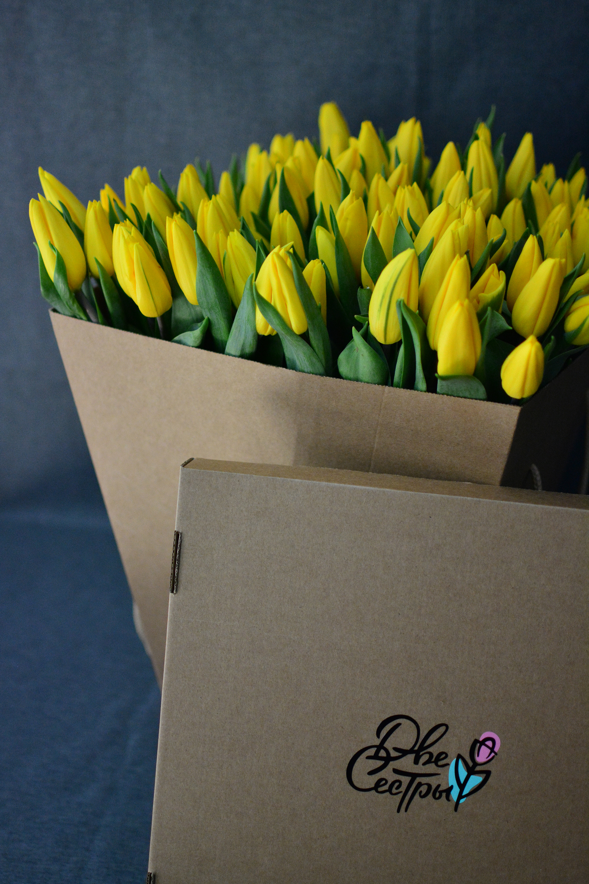 Две Сестры — Изображение №9 — Брендинг на Dprofile