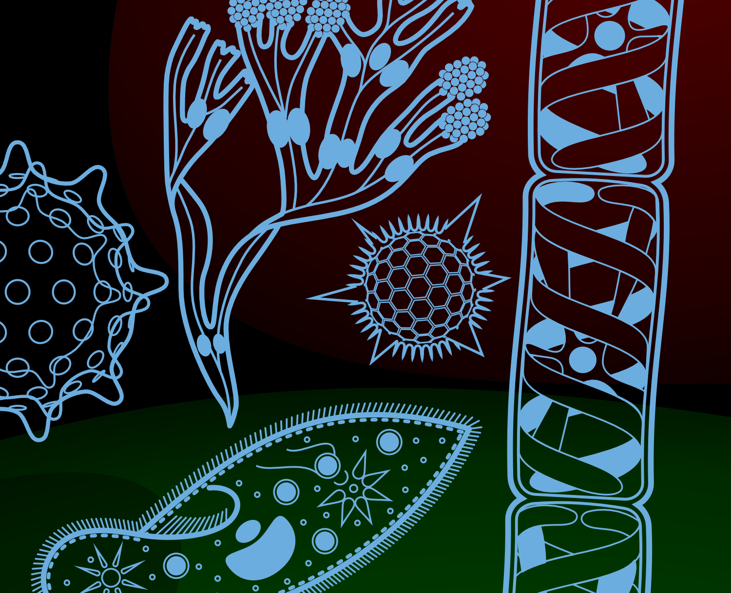 «Самые-самые» микромира — Графика на Dprofile