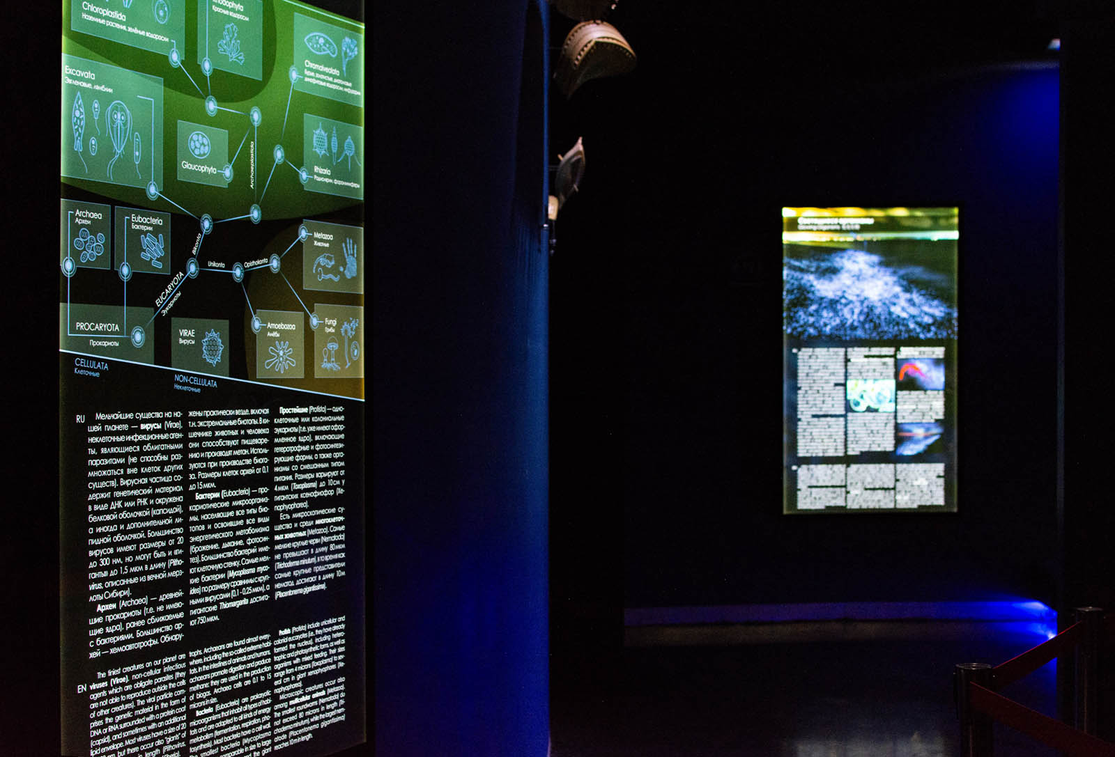 «Самые-самые» микромира — Изображение №4 — Графика на Dprofile