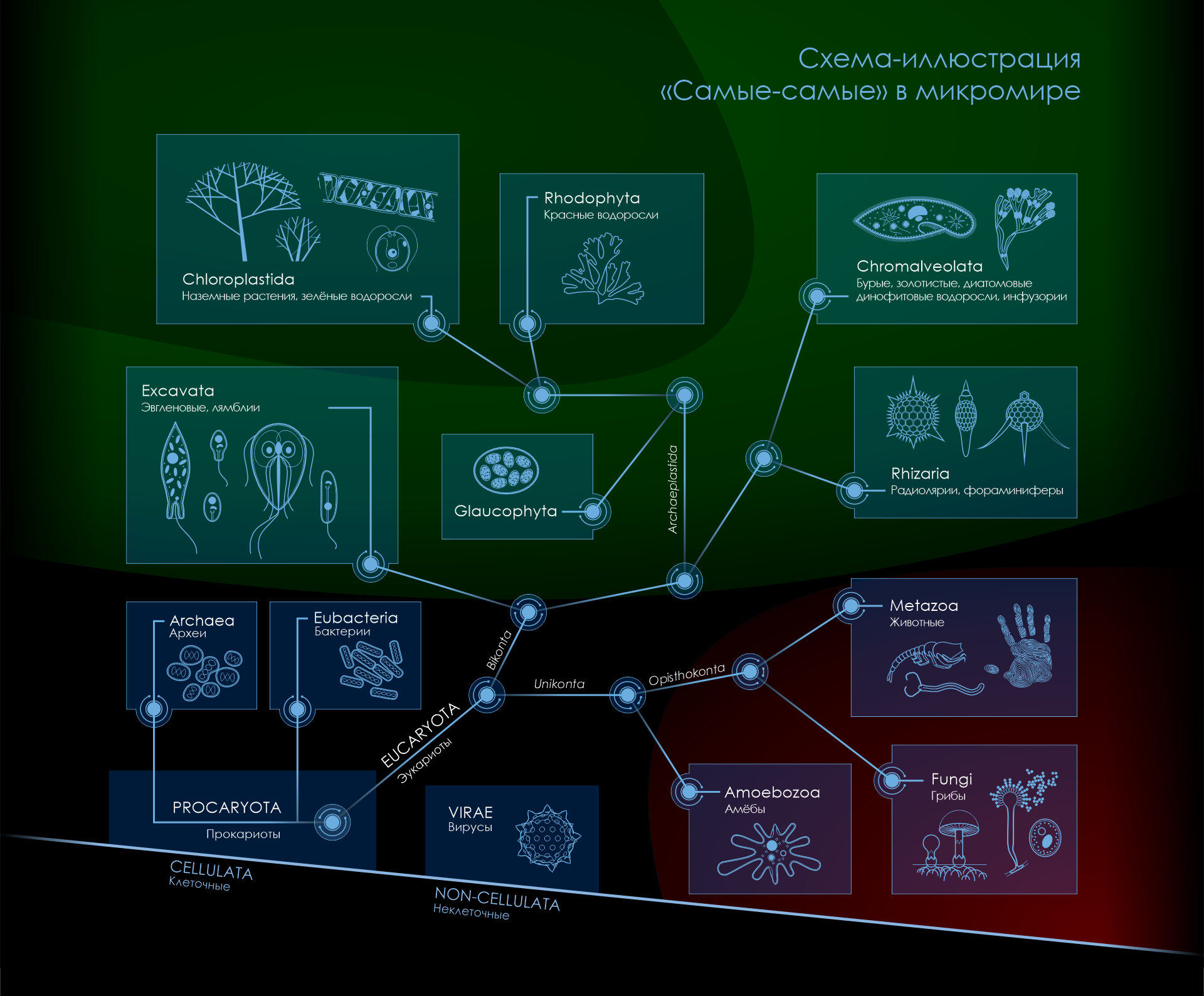 «Самые-самые» микромира — Изображение №1 — Графика на Dprofile