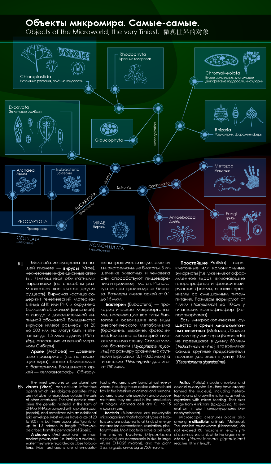 «Самые-самые» микромира — Изображение №3 — Графика на Dprofile