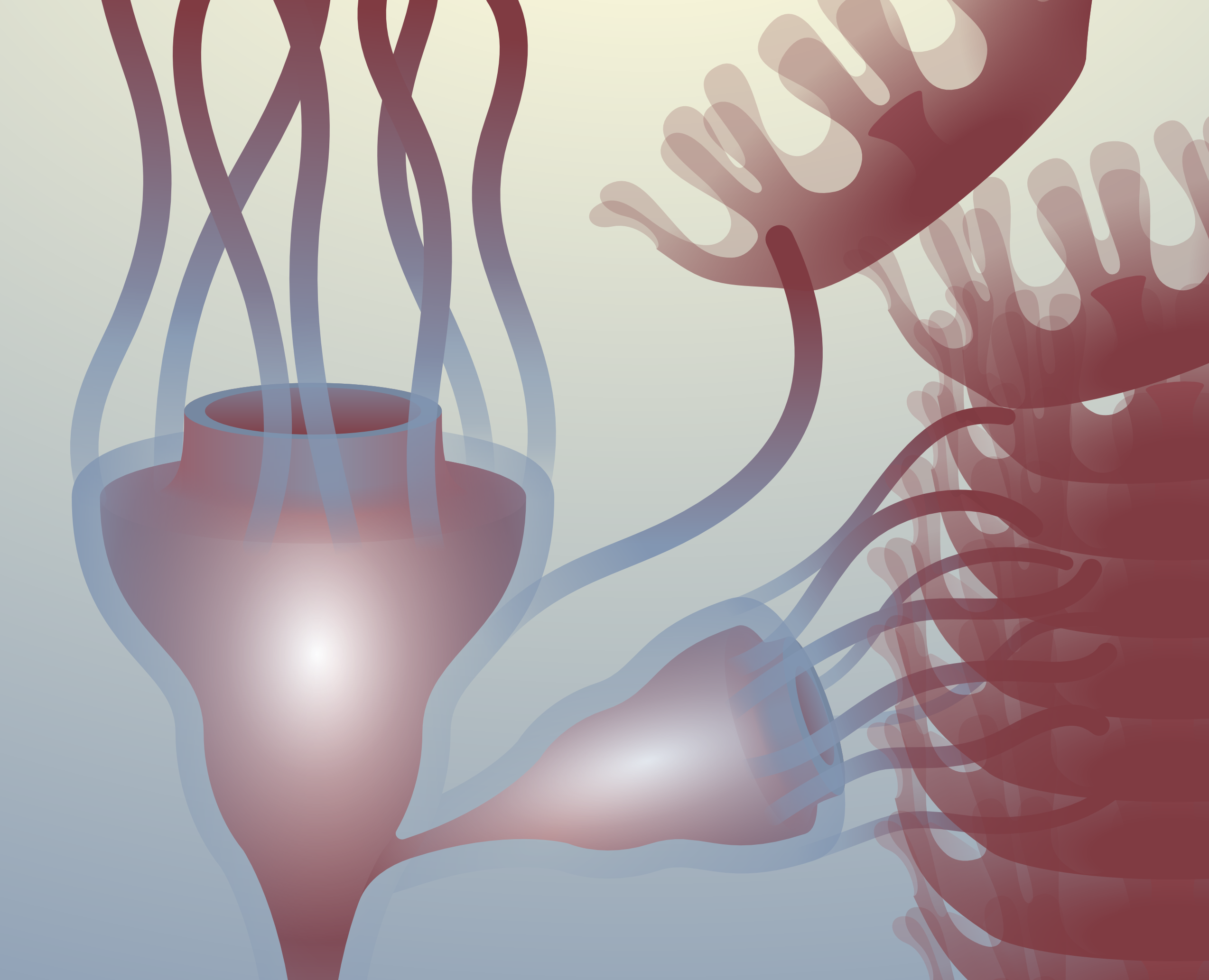 Развитие медуз — Иллюстрация, Графика на Dprofile