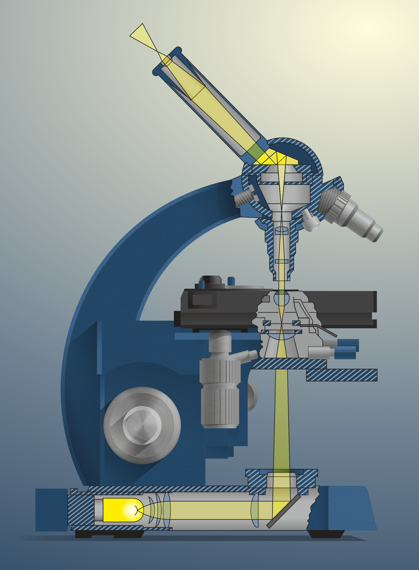 Микроскопы — Изображение №2 — Иллюстрация, Графика на Dprofile