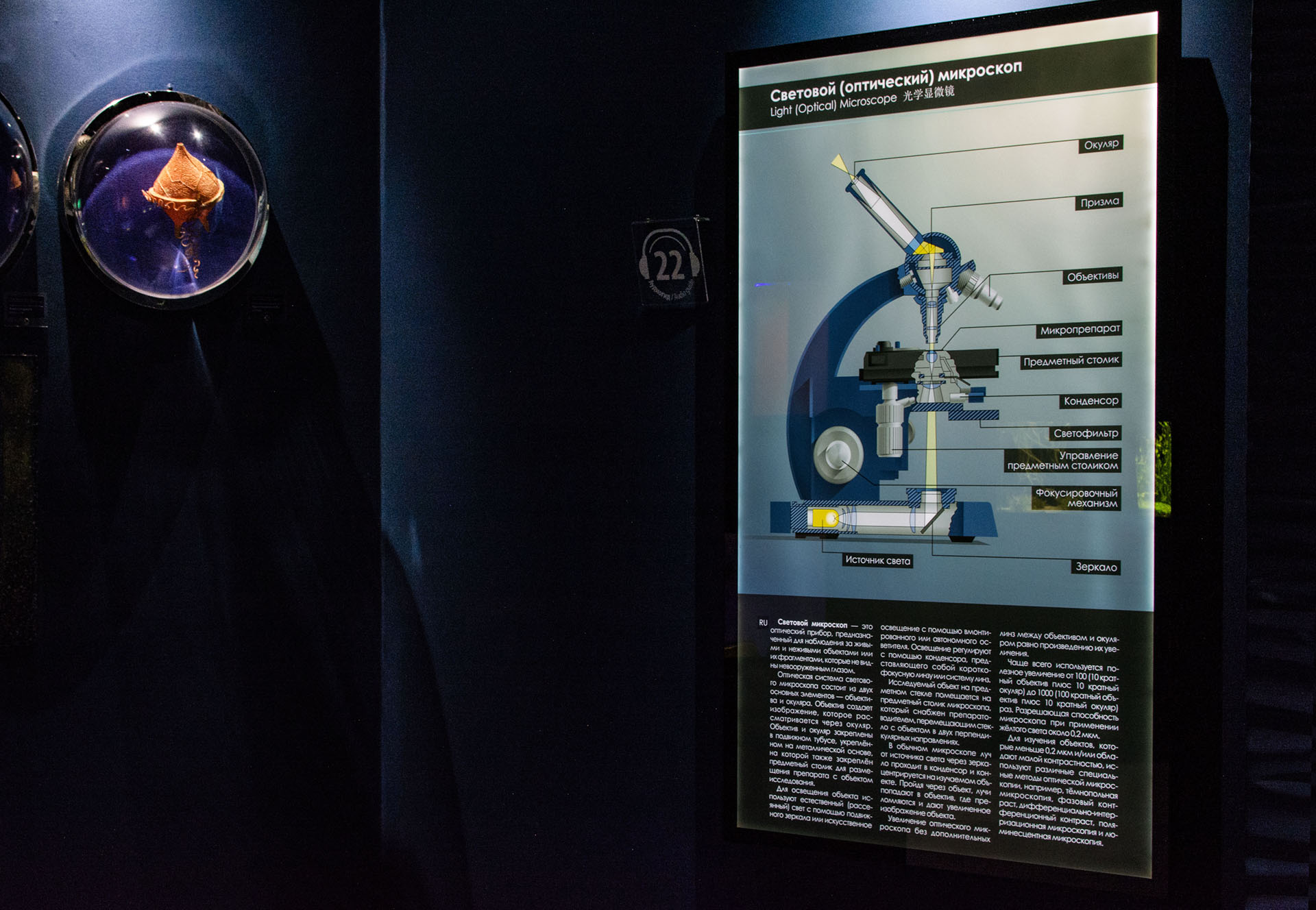 Микроскопы — Изображение №6 — Иллюстрация, Графика на Dprofile