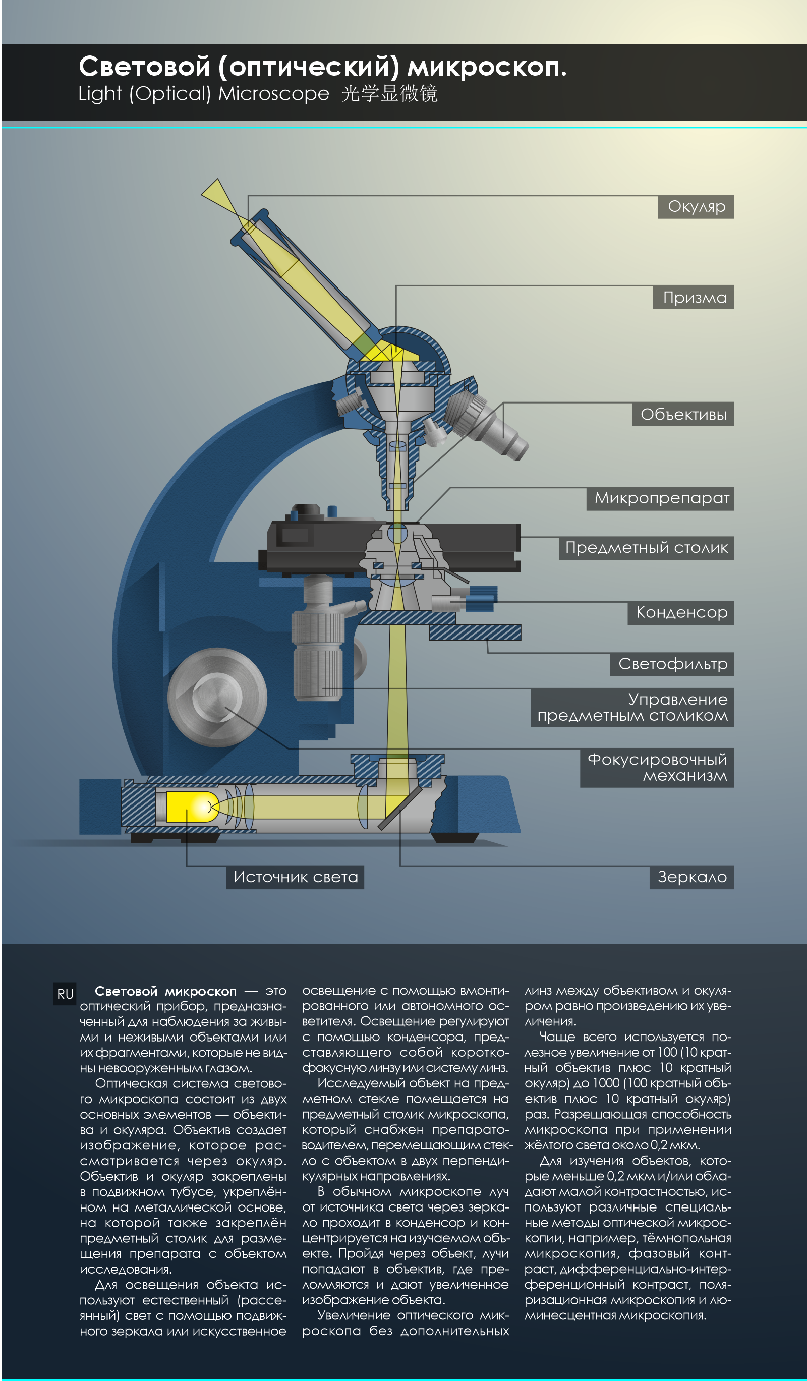 Микроскопы — Изображение №1 — Иллюстрация, Графика на Dprofile