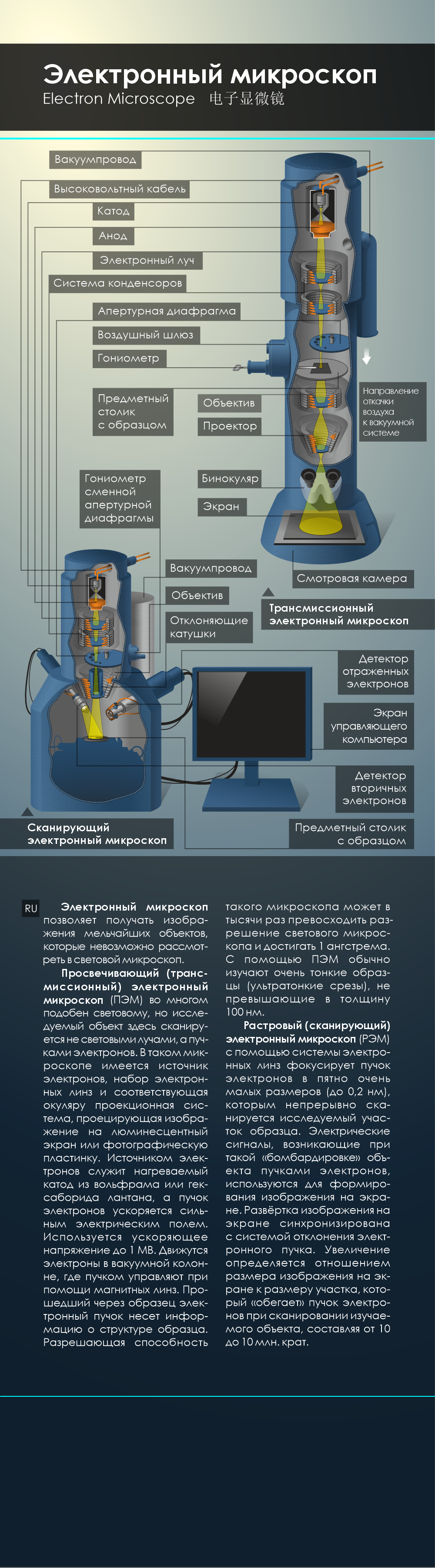Микроскопы — Изображение №3 — Иллюстрация, Графика на Dprofile