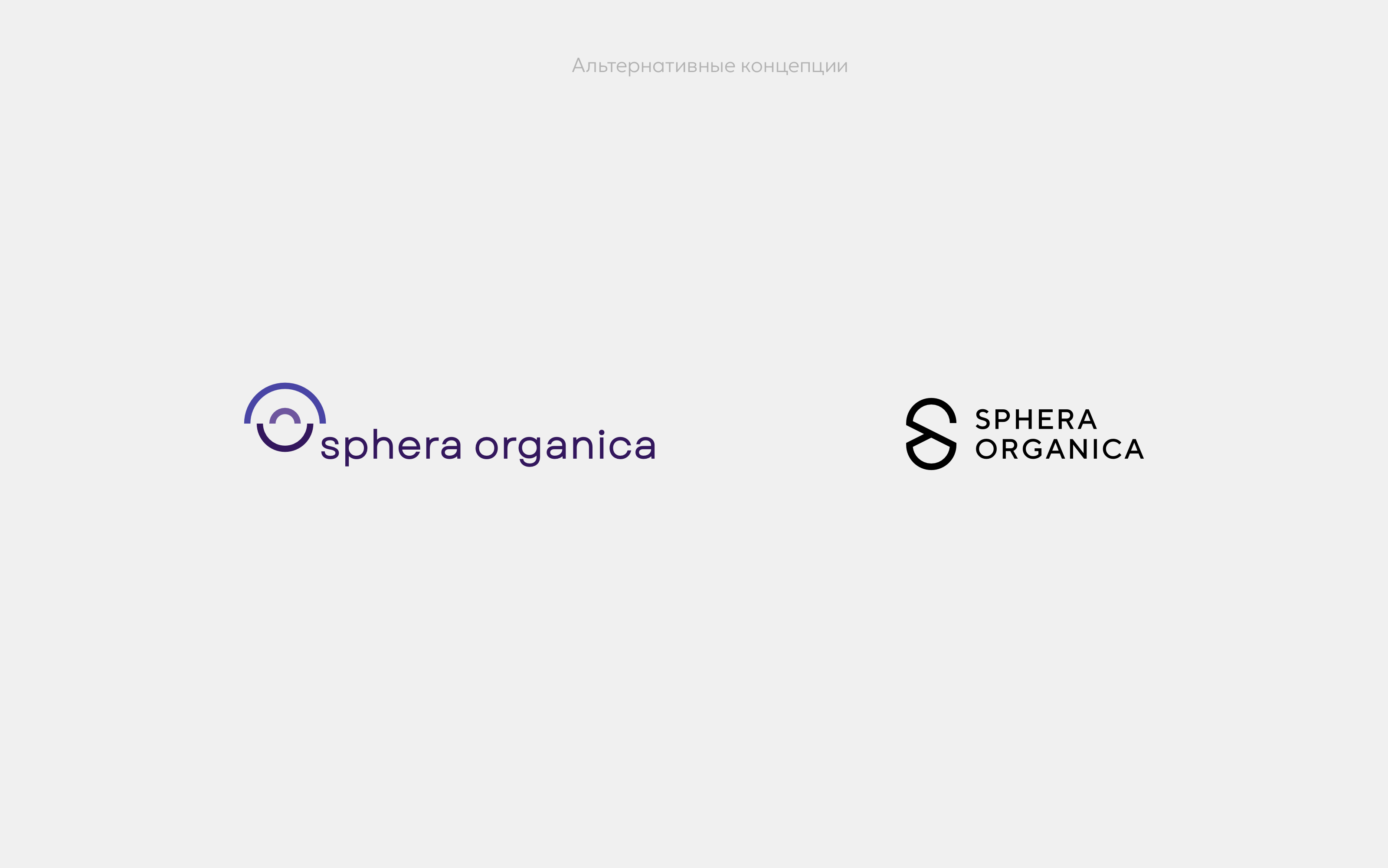 Айдентика Sphera organica – производитель купольных констру… — Изображение №7 — Брендинг на Dprofile