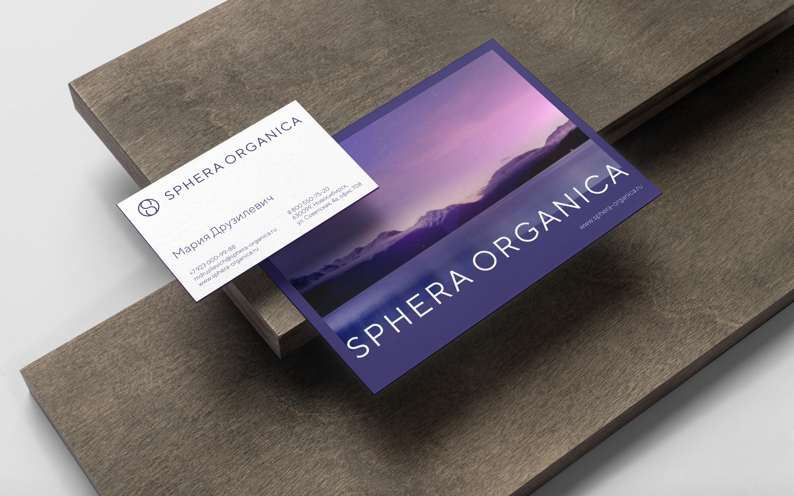 Айдентика Sphera organica – производитель купольных констру… — Изображение №4 — Брендинг на Dprofile