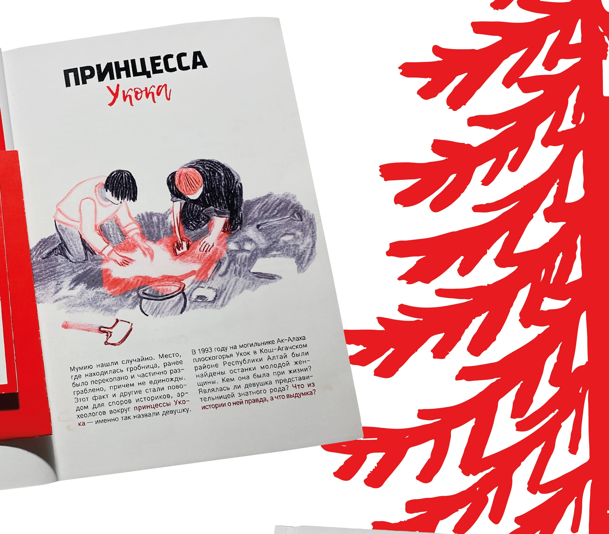 Брошюра & легенды Алтая — Изображение №7 — Брендинг, Иллюстрация на Dprofile