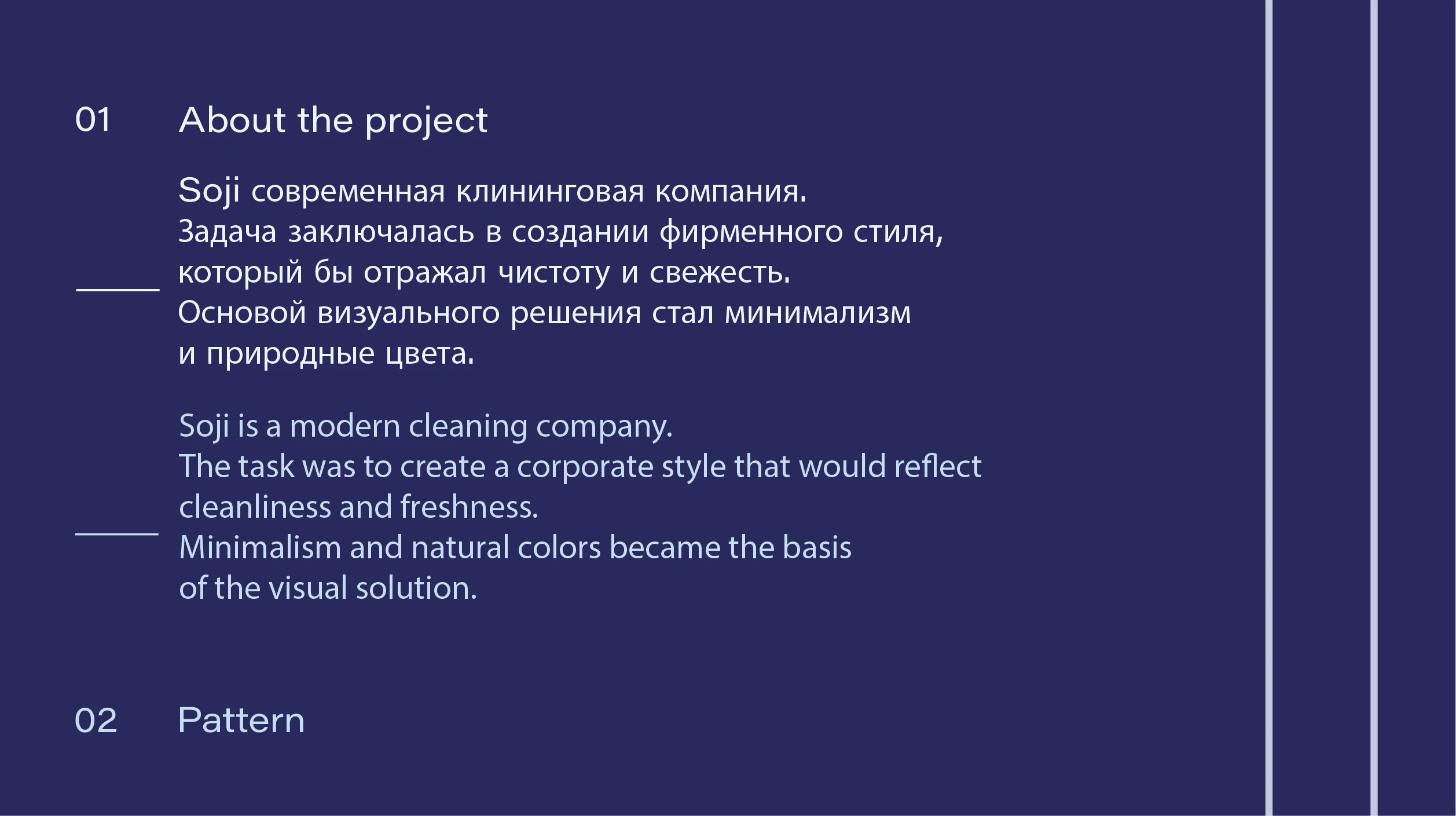 Фирменный стиль & SOJI cleaning — Изображение №1 — Интерфейсы, Брендинг на Dprofile