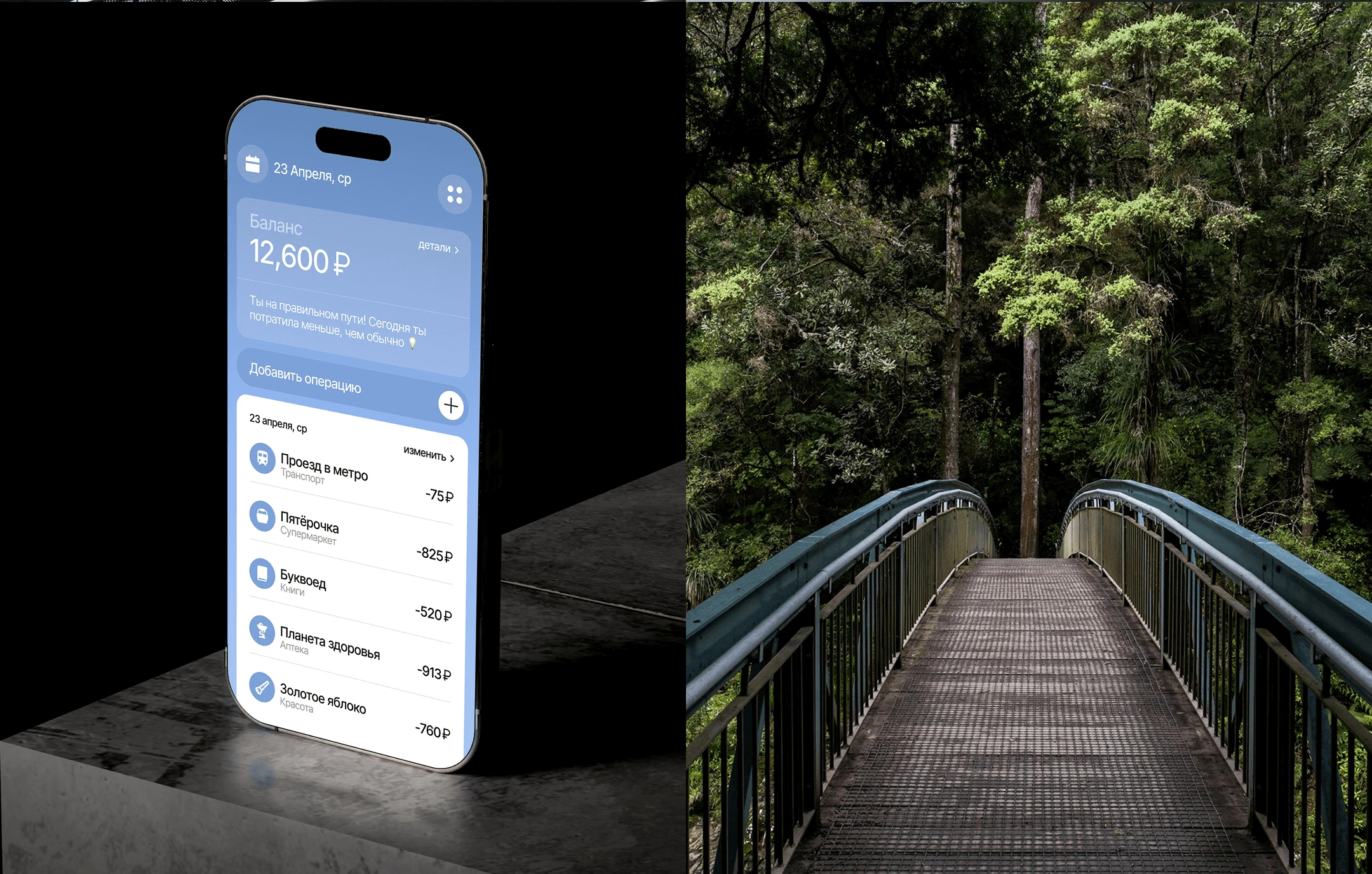 Finly — Finance Tracker — Изображение №3 — Интерфейсы на Dprofile