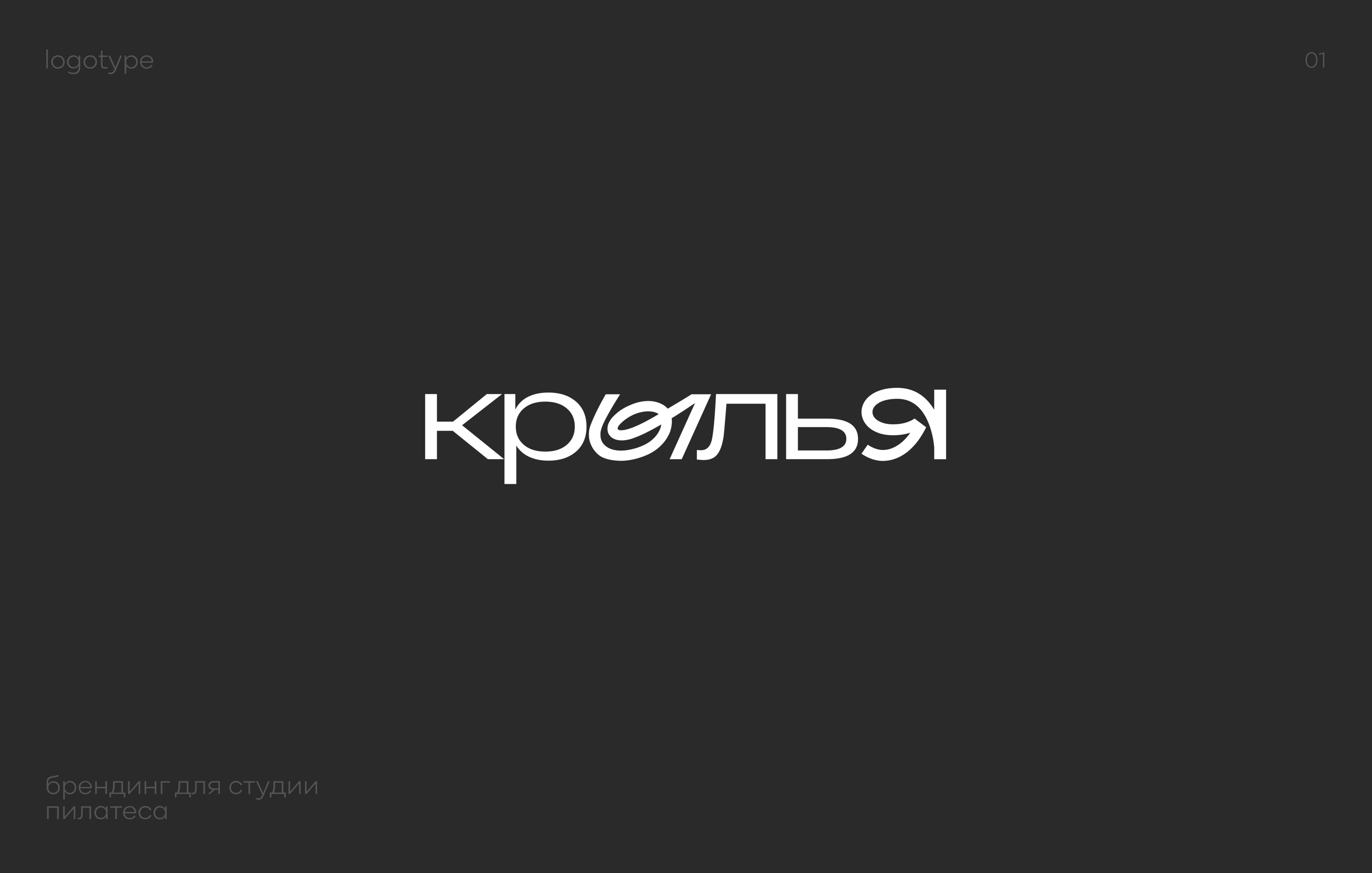 Логофолио / логотип и фирменный стиль — Изображение №1 — Брендинг на Dprofile