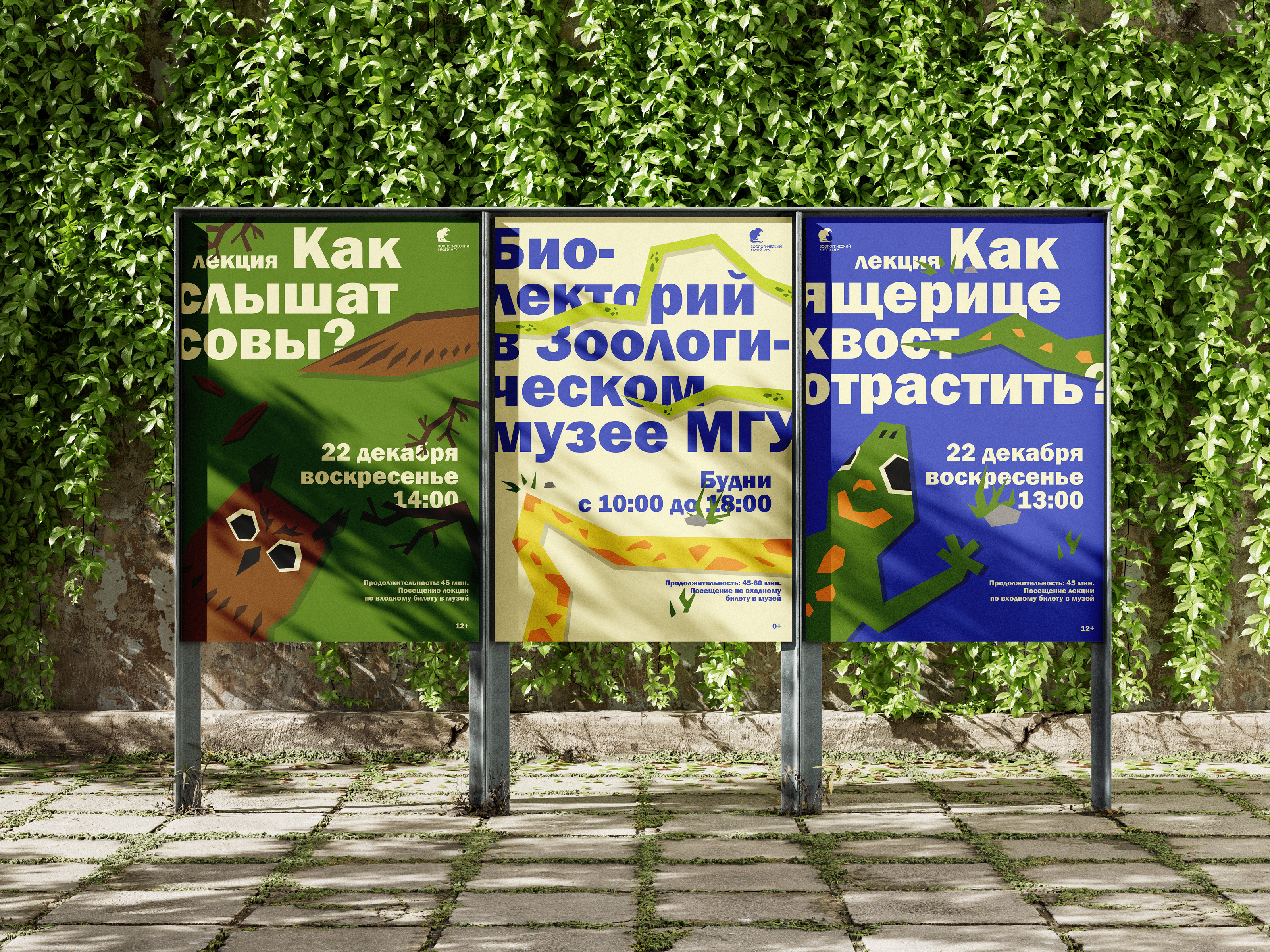 Айдентика для Зоологического музея МГУ — Изображение №1 — Брендинг на Dprofile