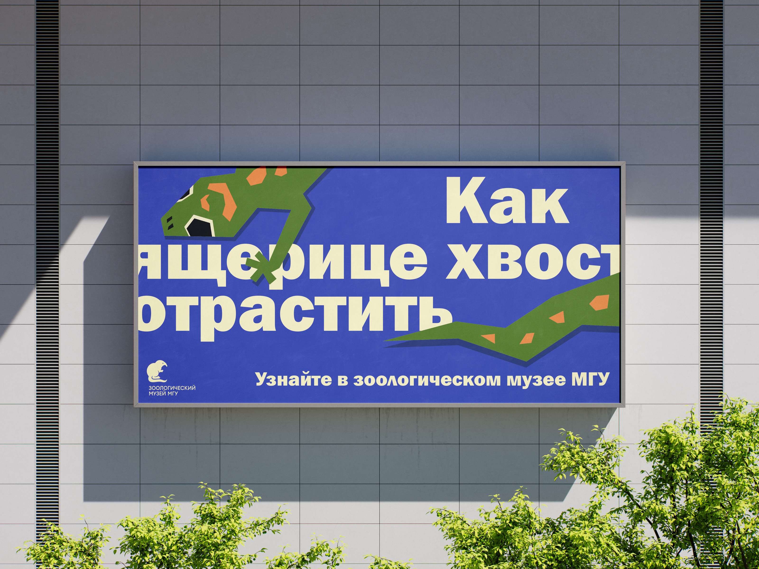 Айдентика для Зоологического музея МГУ — Изображение №2 — Брендинг на Dprofile