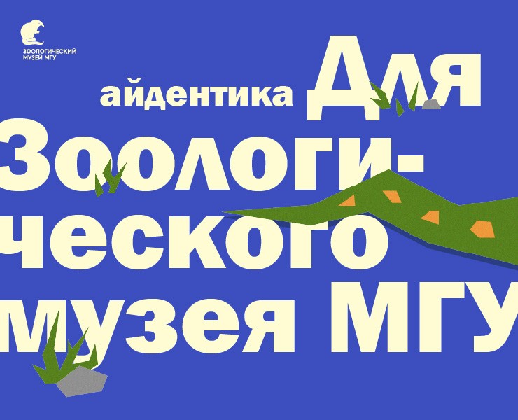 Айдентика для Зоологического музея МГУ — Брендинг на Dprofile