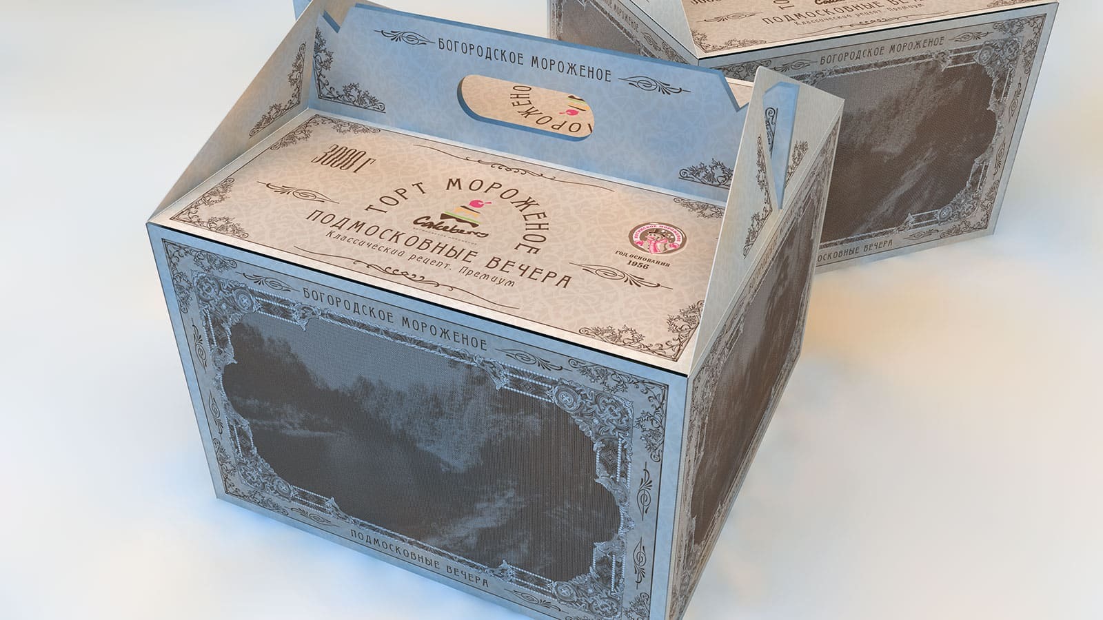 Упаковка для тортов-мороженое. — Изображение №7 — Брендинг, Графика на Dprofile