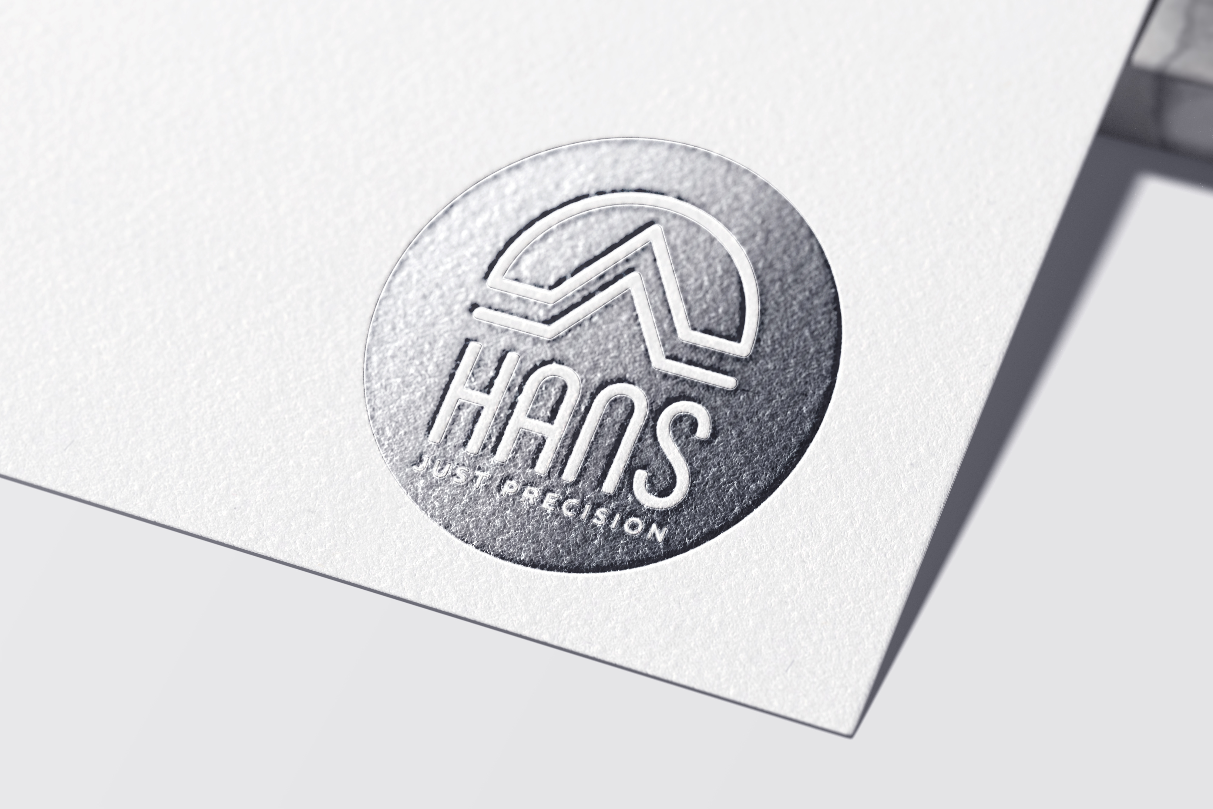 Логотип(торговый знак)"HANS" Ltd. — Изображение №23 — Брендинг на Dprofile