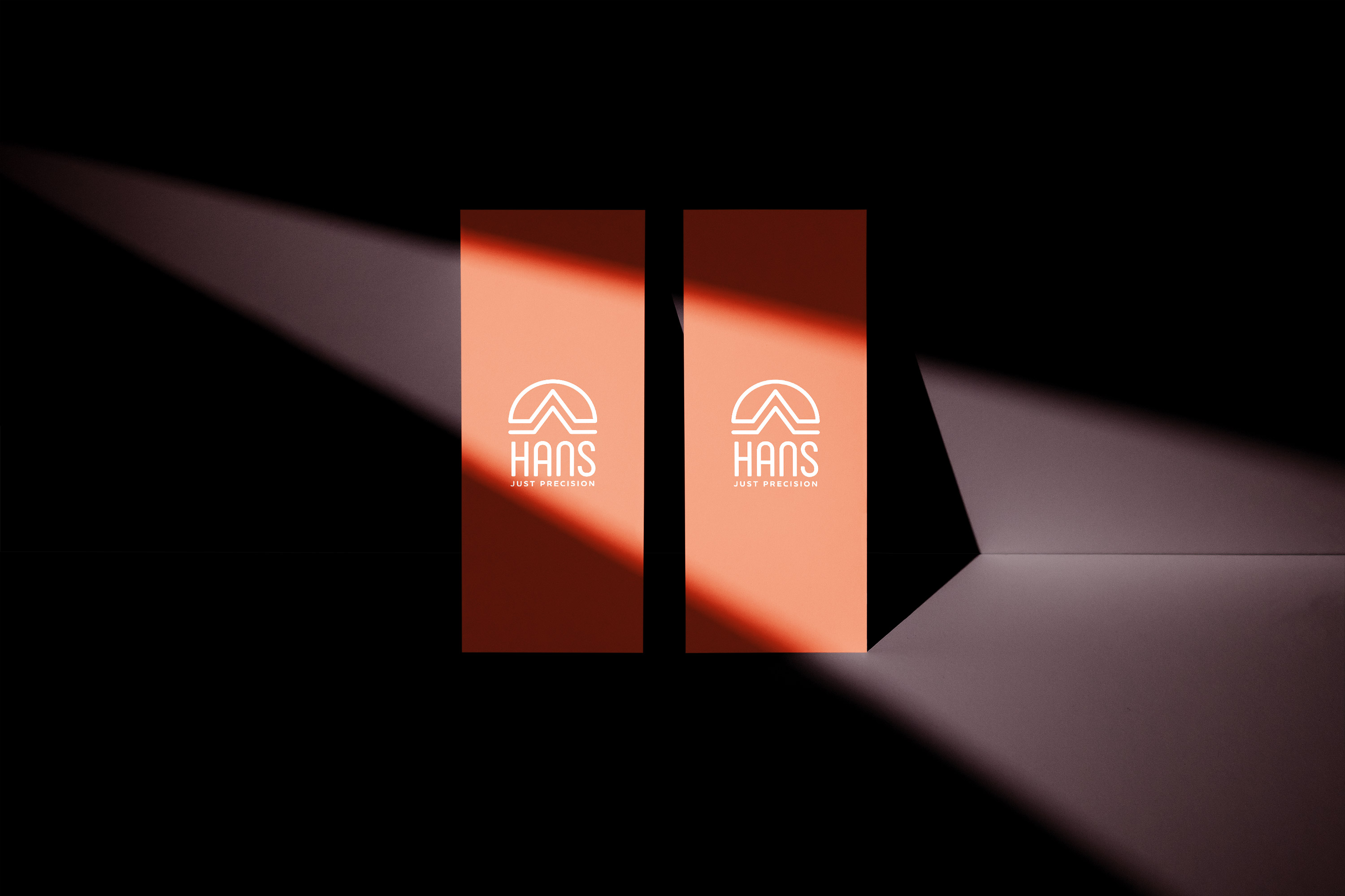 Логотип(торговый знак)"HANS" Ltd. — Изображение №15 — Брендинг на Dprofile