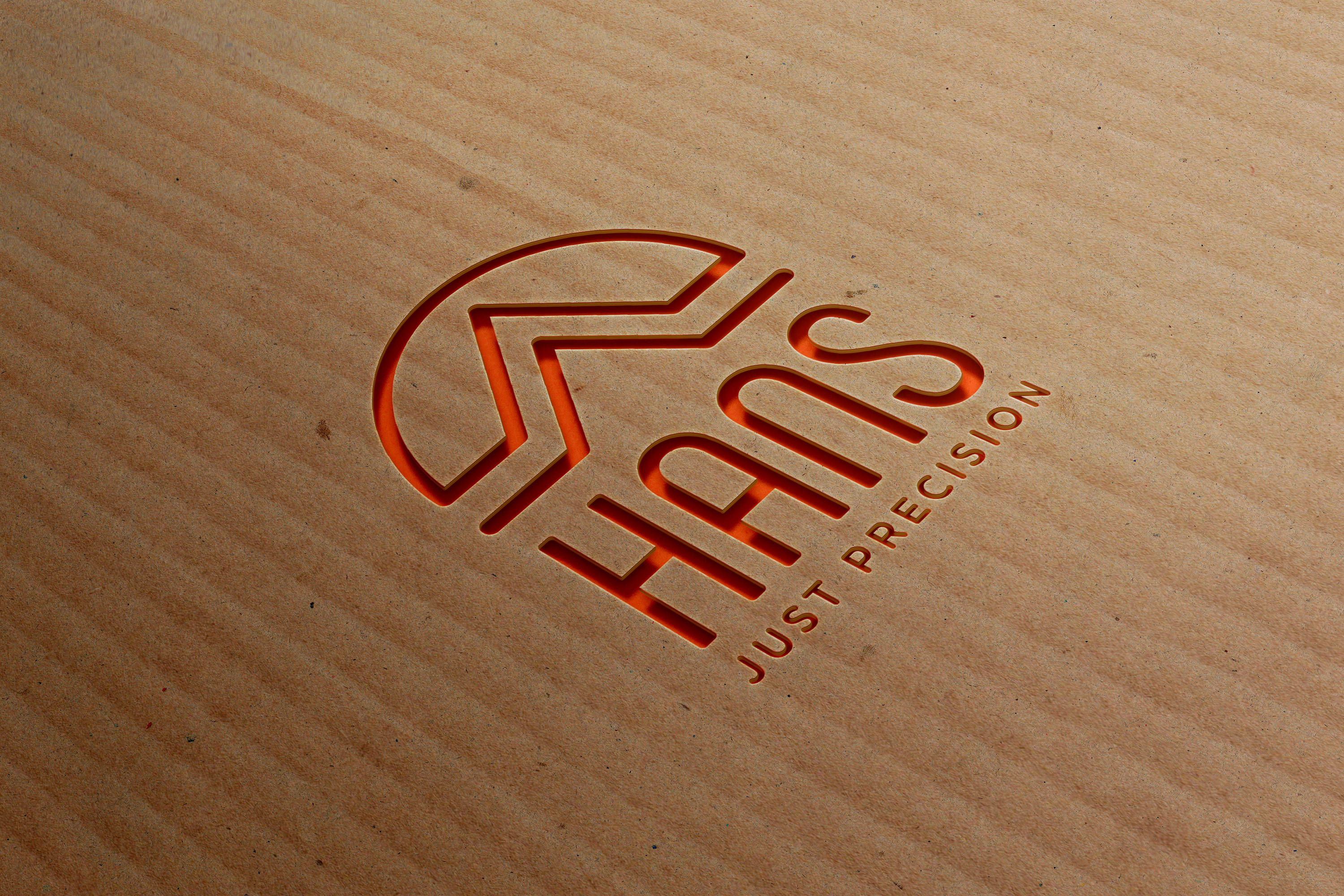 Логотип(торговый знак)"HANS" Ltd. — Изображение №22 — Брендинг на Dprofile