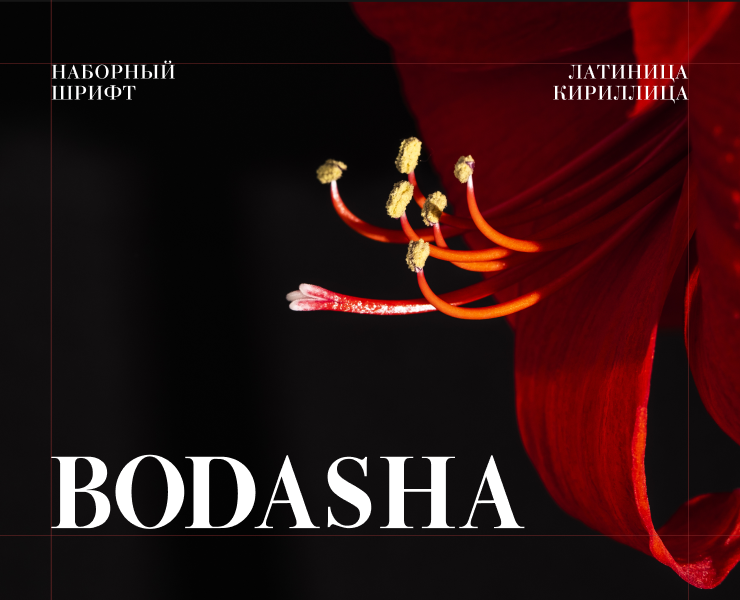 Шрифт Bodasha на Dprofile