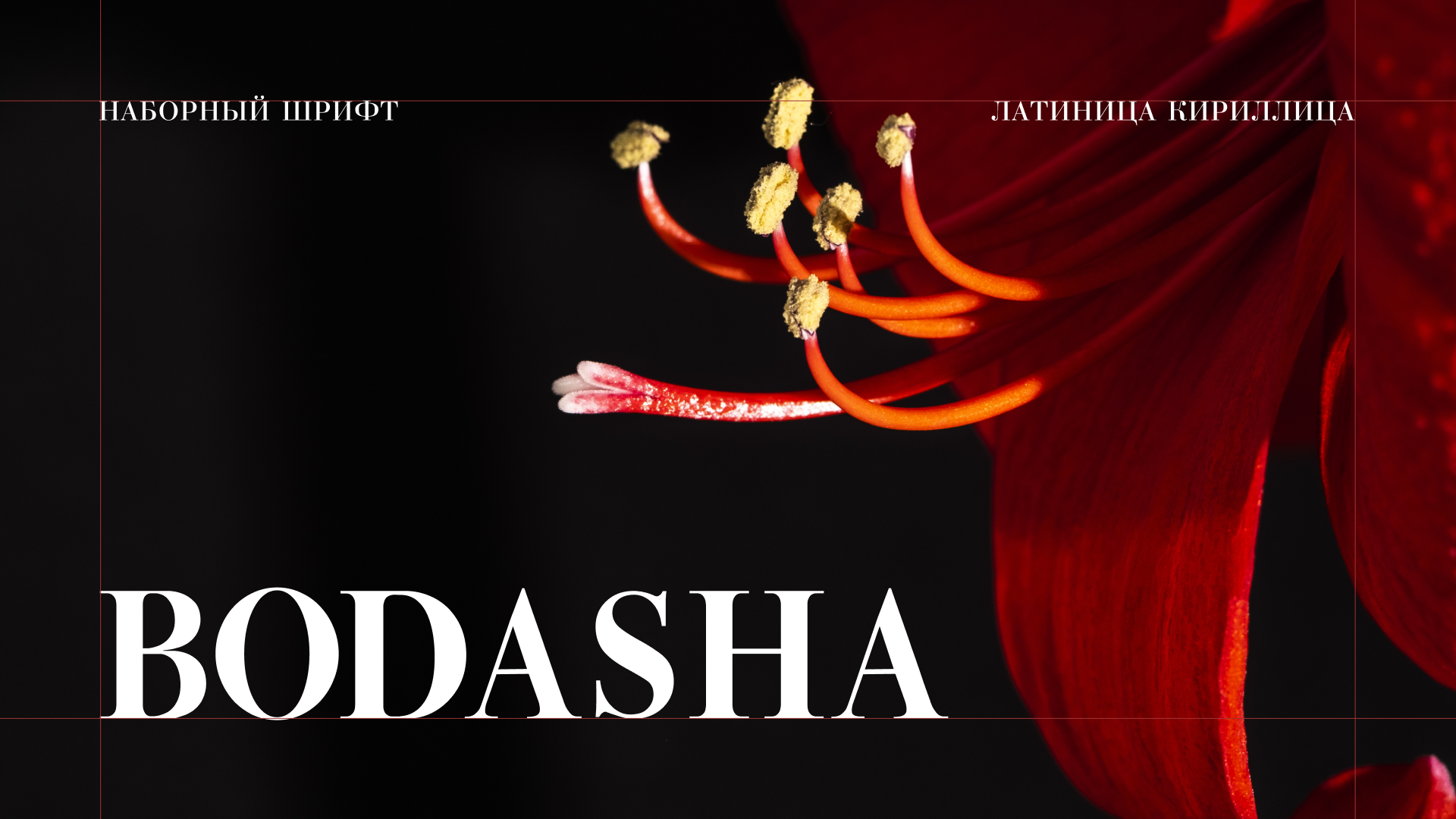Шрифт Bodasha — Изображение №1 — Графика на Dprofile