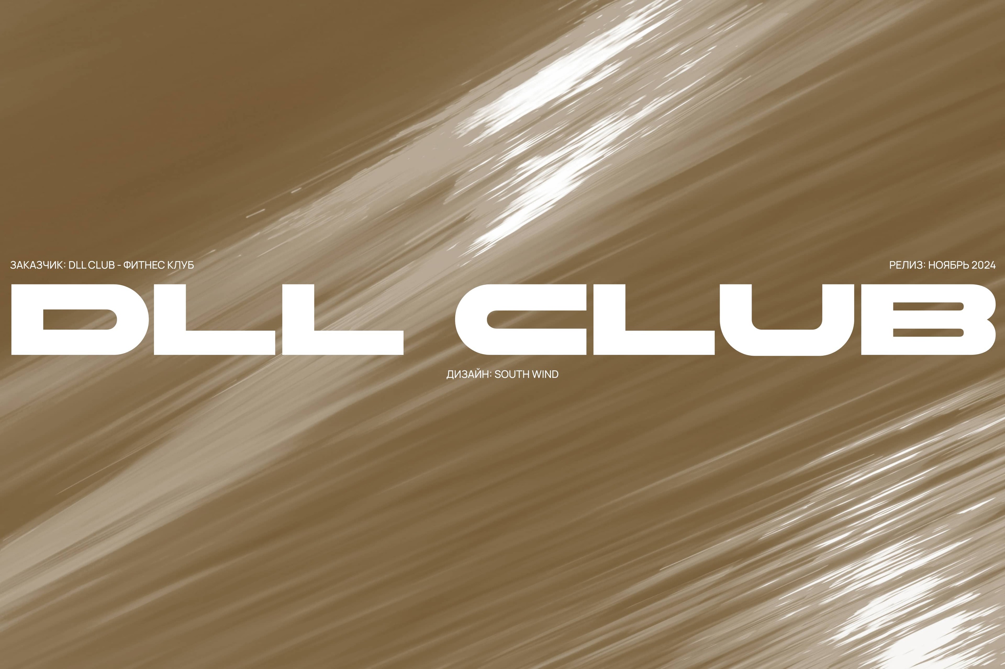 DLL CLUB - фитнес клуб — Изображение №1 — Интерфейсы на Dprofile